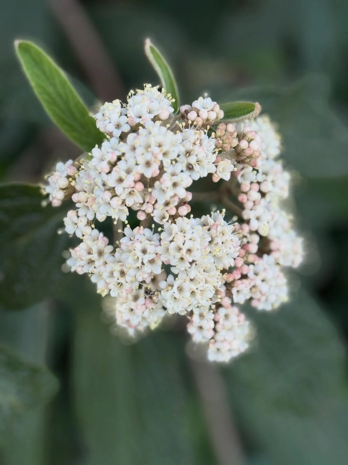 Peace &hellip; 🕊️