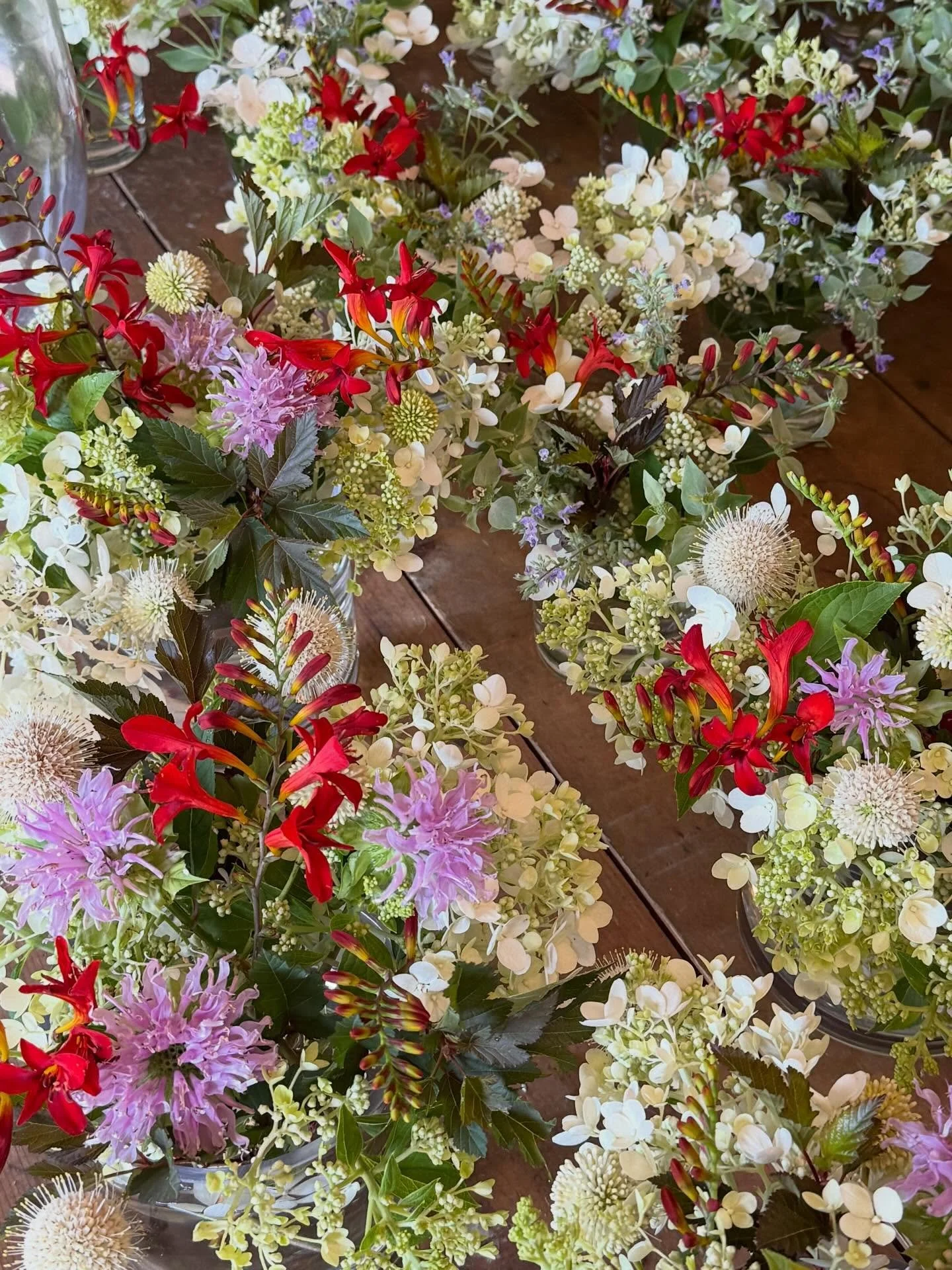 ✨💐✨

&ldquo; I don&rsquo;t really go out partying, but I&rsquo;m definitely a social butterfly. &ldquo;

&mdash; Eliza Doolittle

✨✨✨

#flourishroot #eventflowers #partyflowers #localgrown #inseason