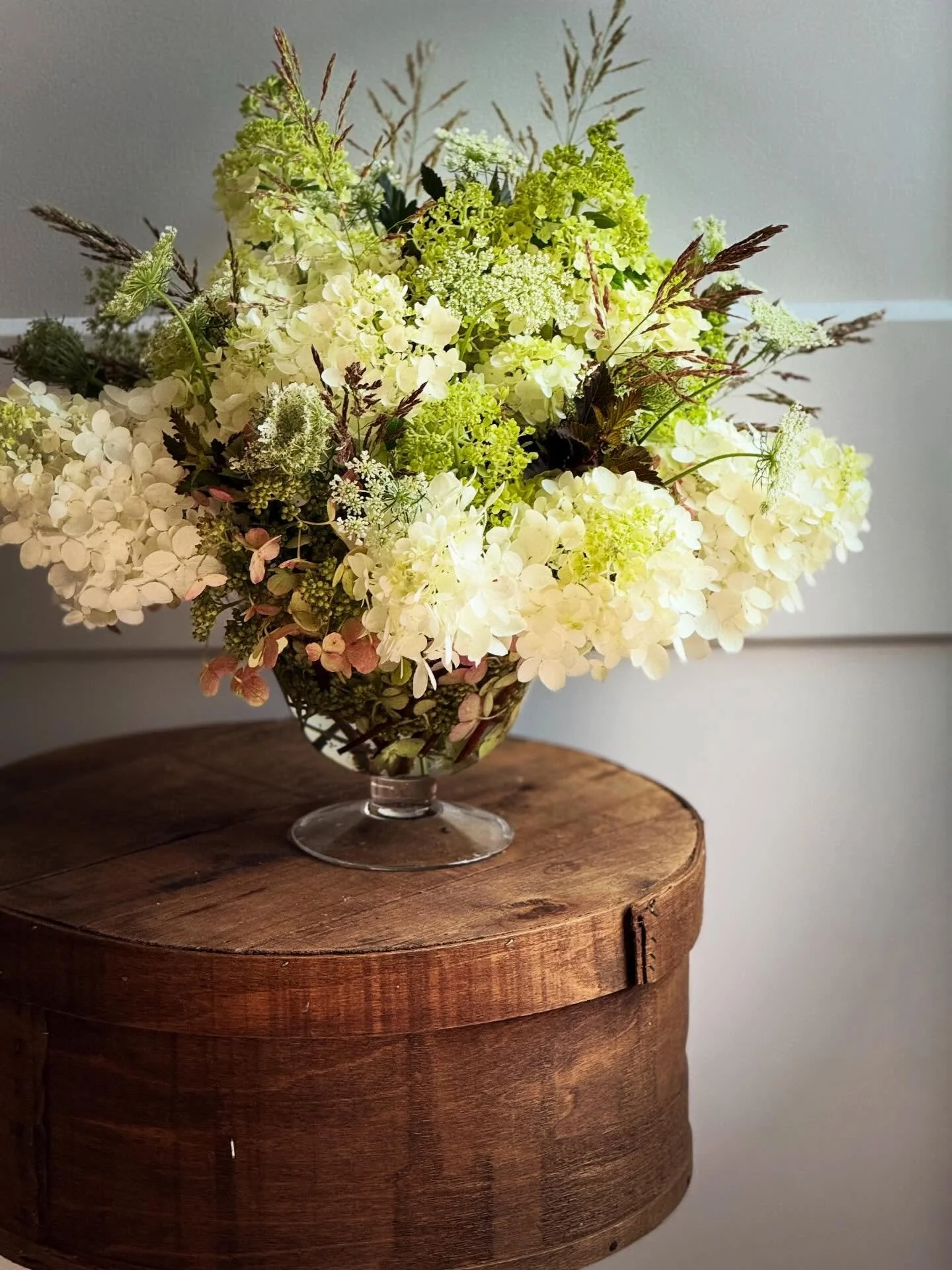 ✨🌞✨

Summer Blooms &hellip;
for our friends and guests @hopkinsordinary 

Classic and Beauties &hellip; doing their flowering thing &hellip; ✨

#flourishroot #seasonalflowers #summerblooms #localgrown #flowering