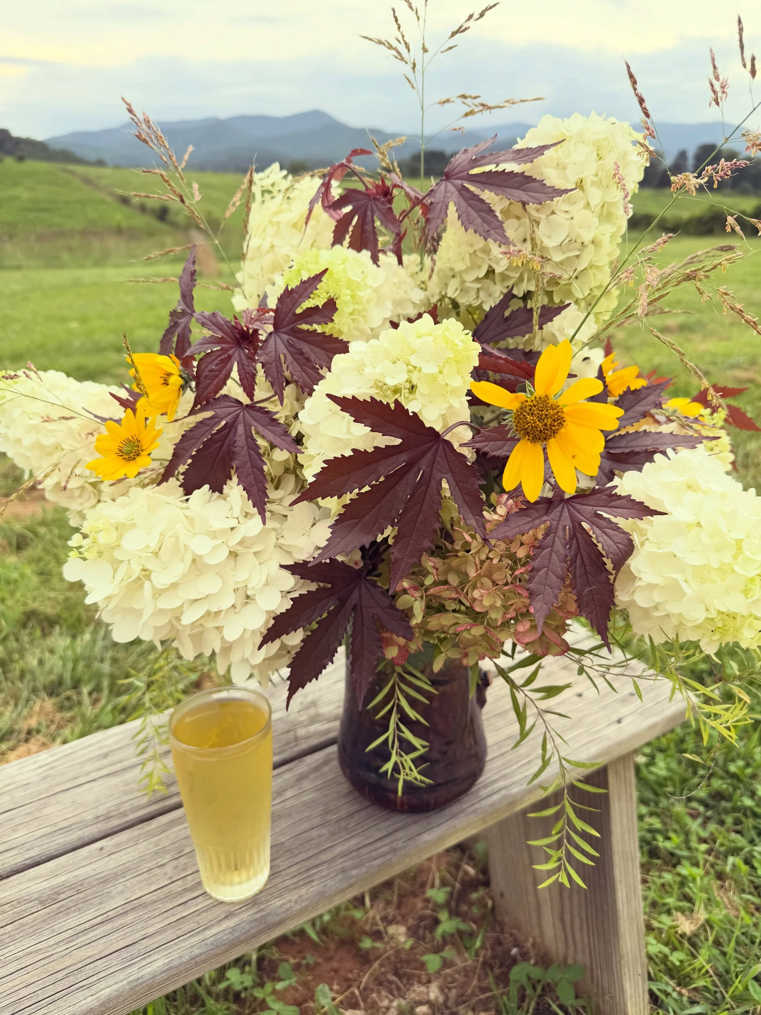 ✨🙌✨

All the things &hellip; @pendruidbrewing 

✨✨✨

#flourishroot #allthethings #outside  #delicatessen #supportyourlocal