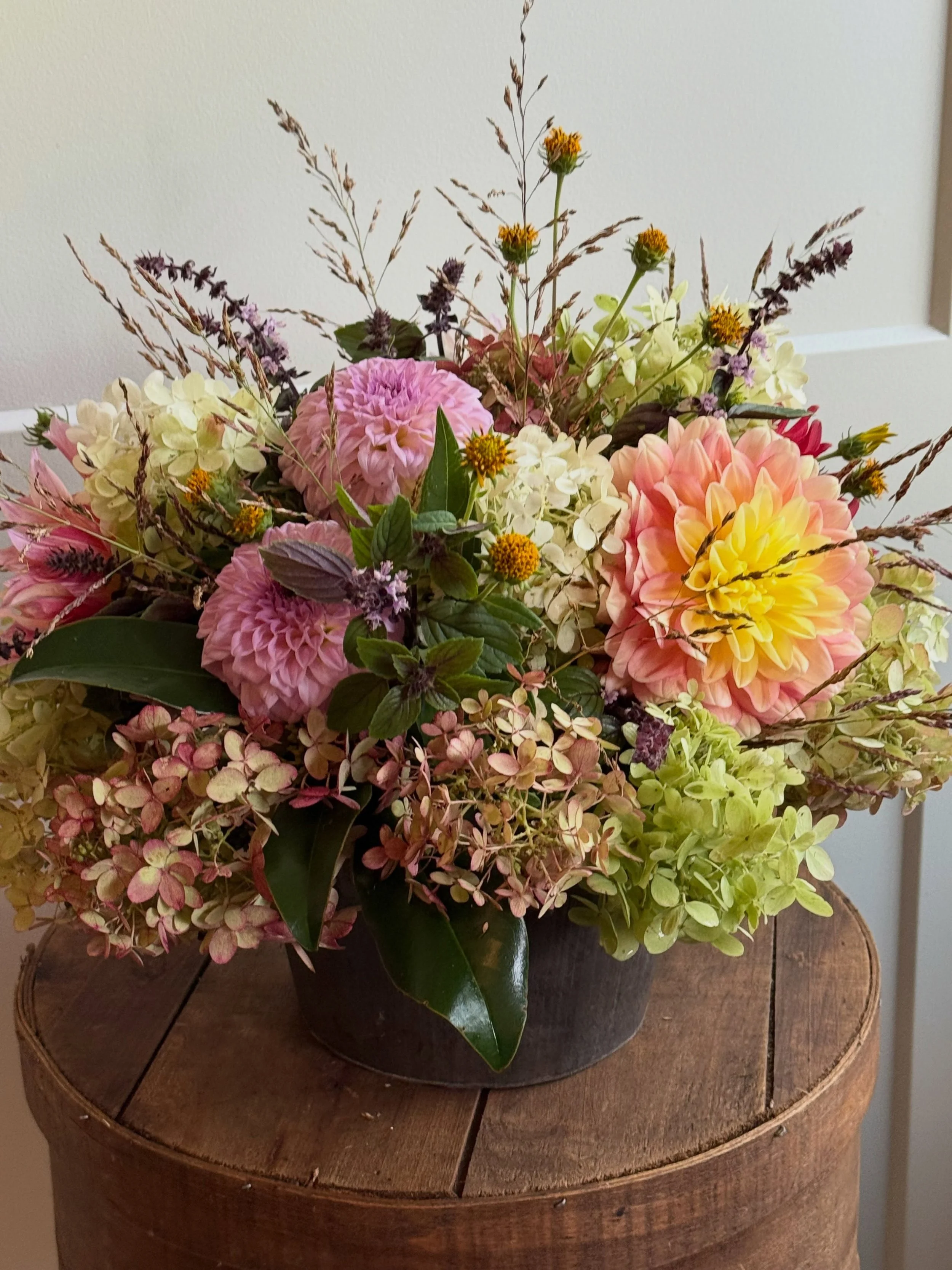 ✨

Tis the Season &hellip;. 
For the Dahlias &hellip; 

And we always love to have these superstars grace our flowering &hellip; ✨

Locally sourced from the King 👑 of the Dahlia growers and cultivators &hellip; 🙌 
@raggedmountainperennials 

The ke