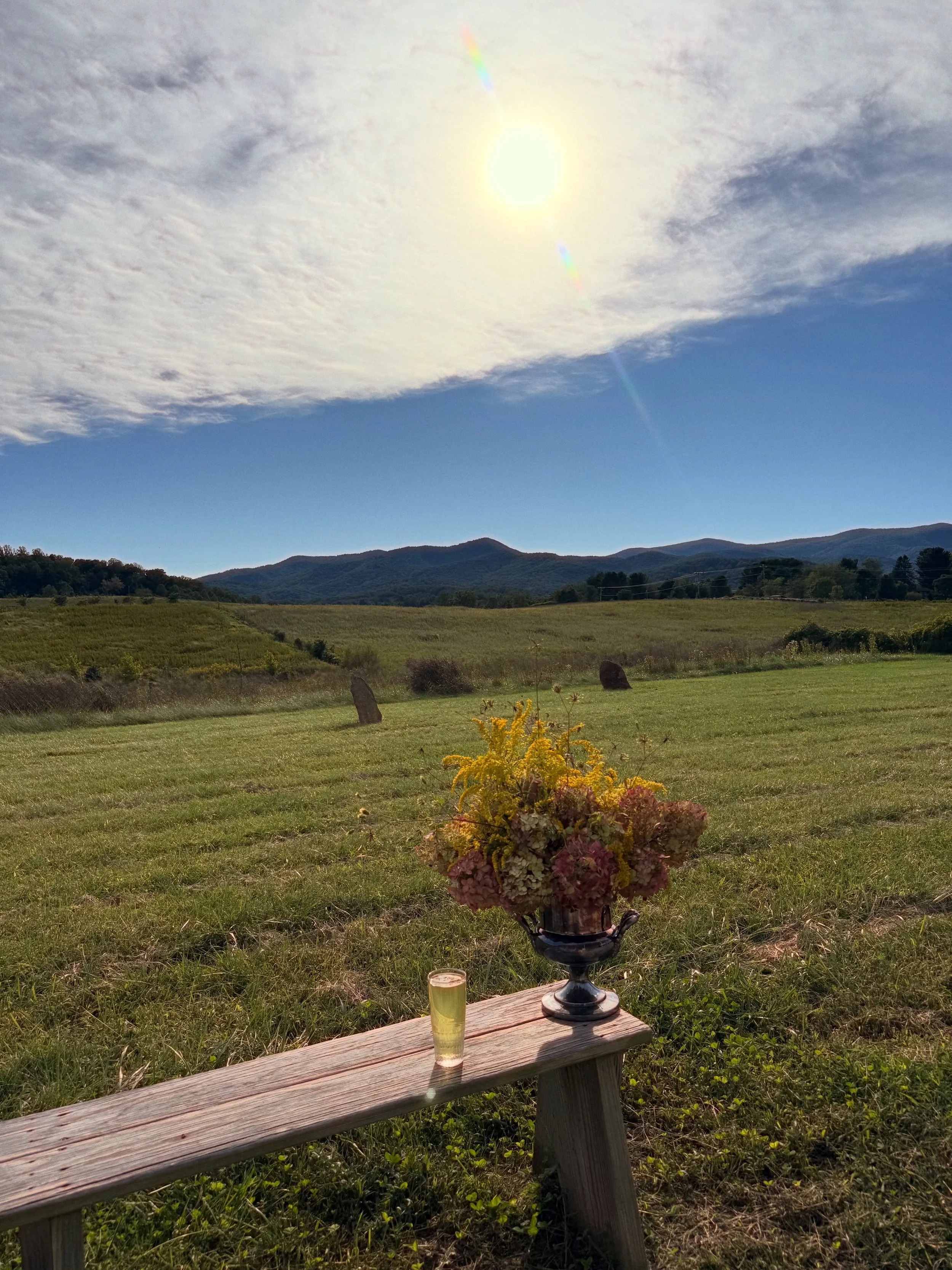 ✨

Big Sky.
Big Flowers. 
Big Things. 

@pendruidbrewing 

✨

#flourishroot #big #localflowers #inseason #supportyourlocal
