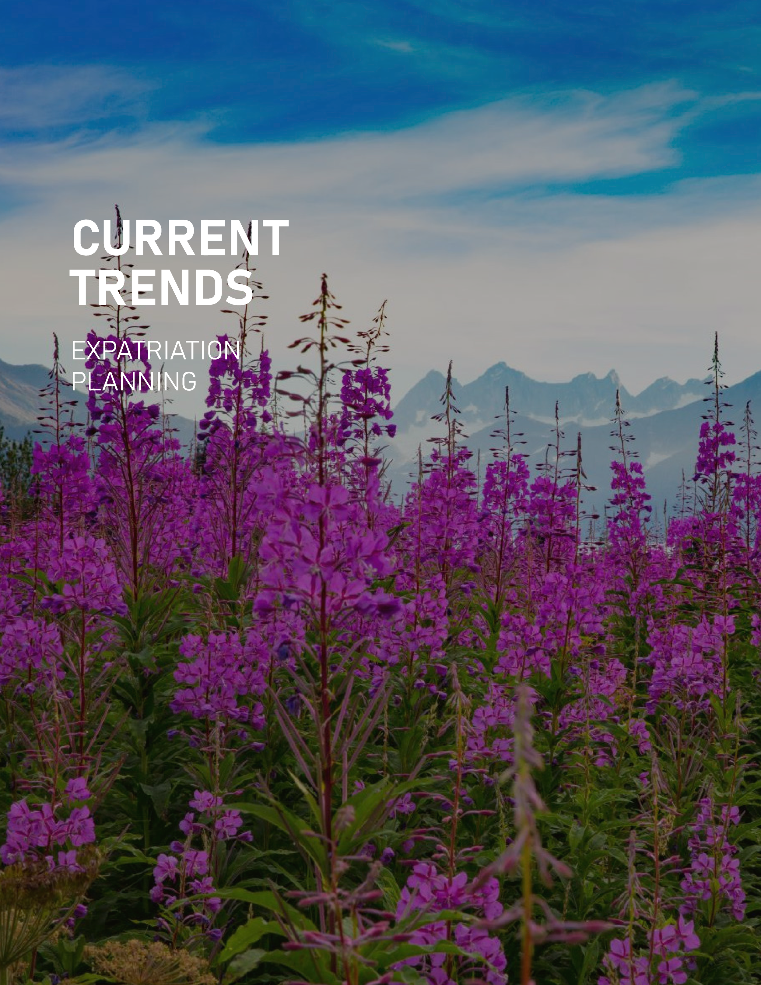 KTC QUARTERLY NEWSLETTER SPRING 2026_Page3.png