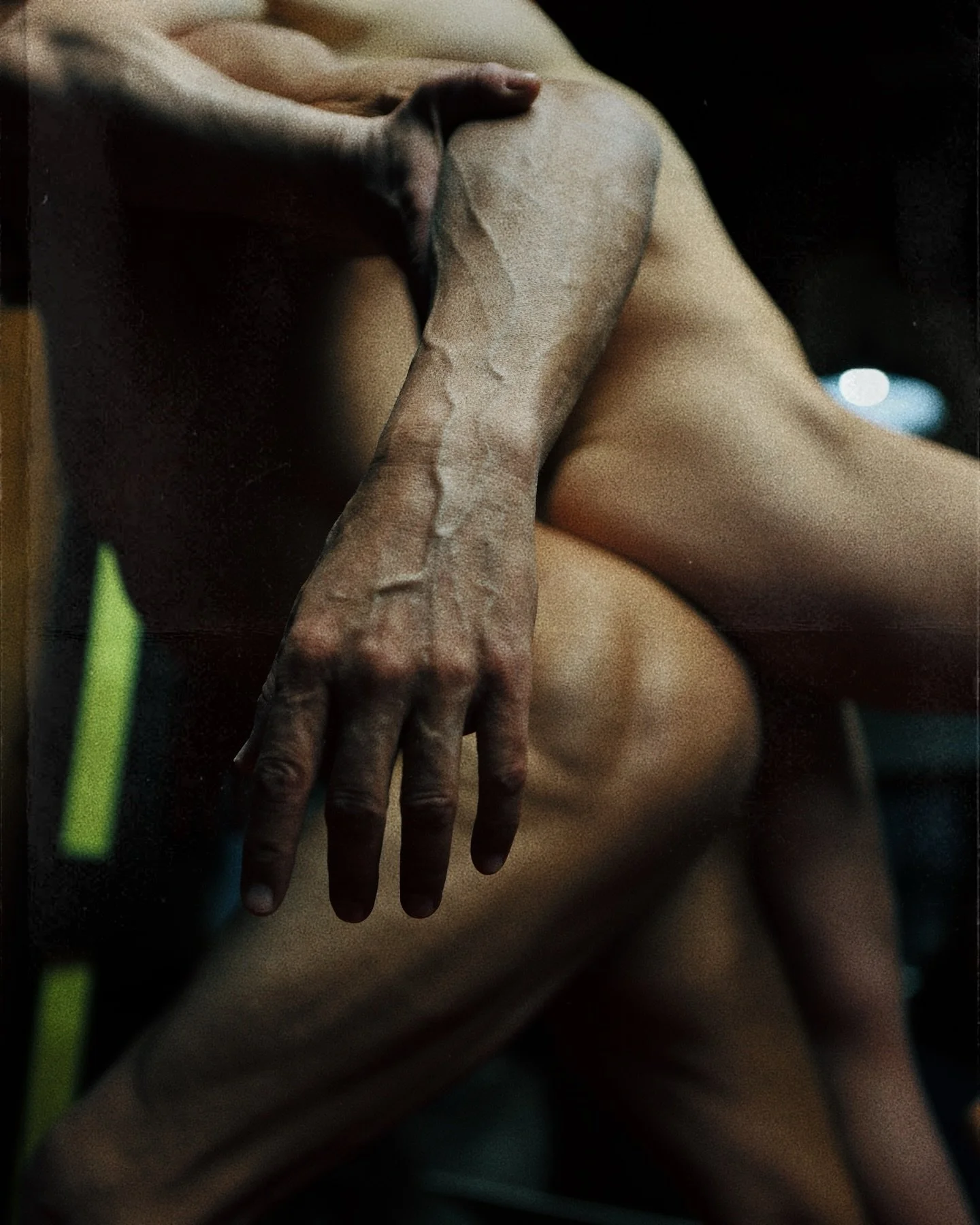 I don&rsquo;t want these images to ever leave my mind. May they be burned into my retina. May my DNA be changed forever. On my death bed, I will remember this moment. Thank you ❤️ photos by @epic.wolf.productions