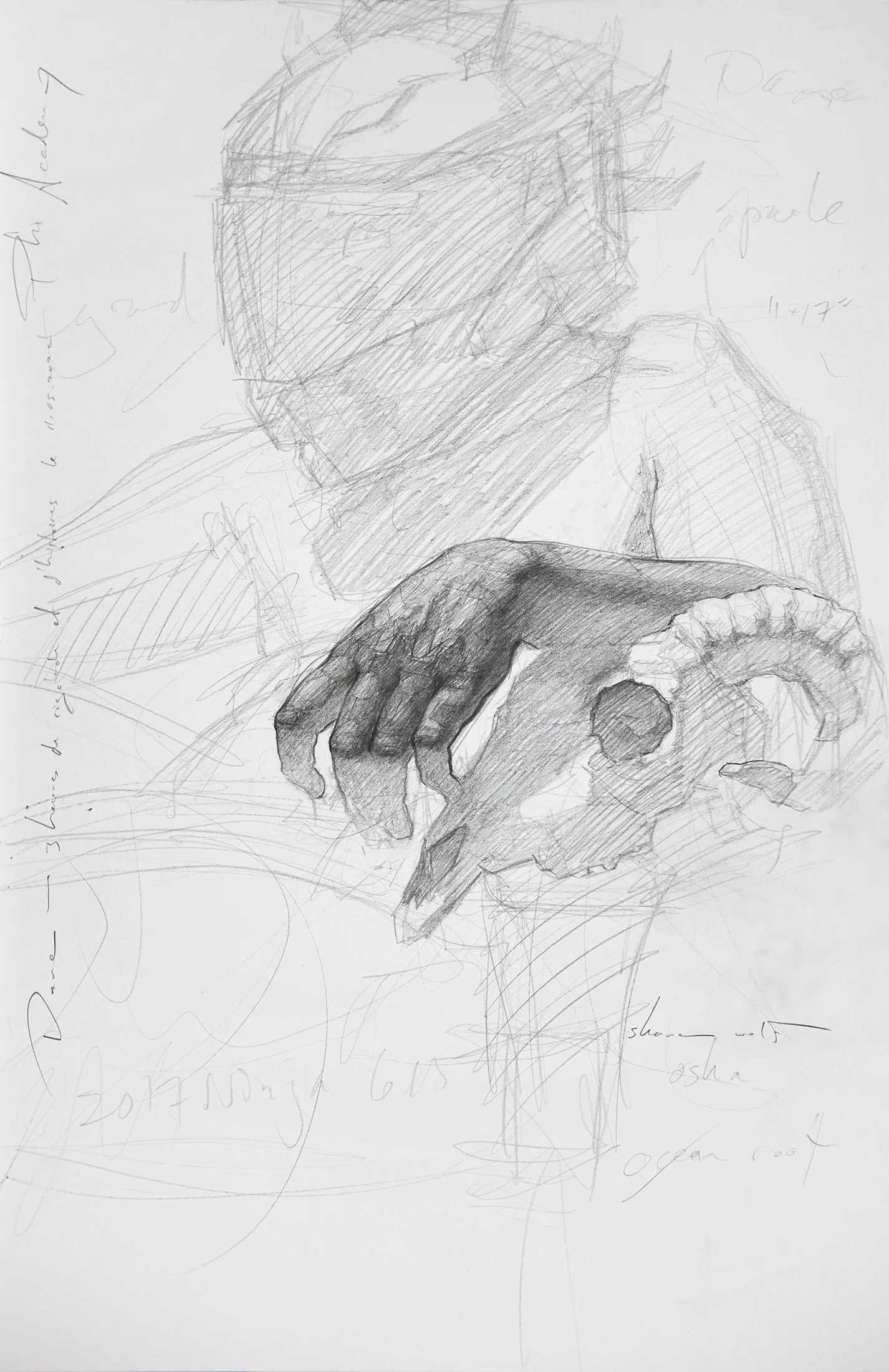 The Hand of Dane 17x11inches.jpg