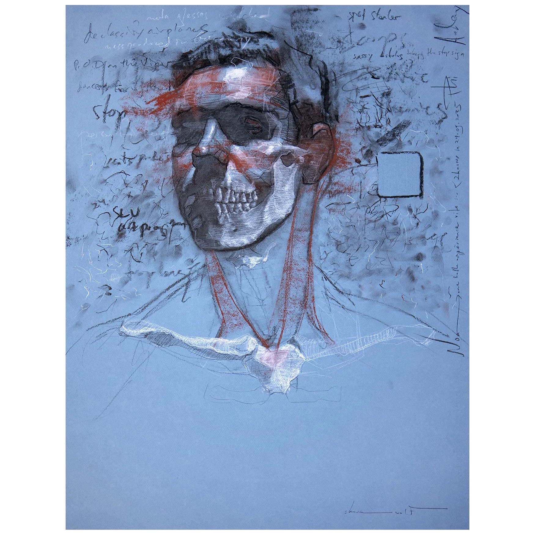 POD on the Viper, Noa crâne 65x50cm carré.jpg
