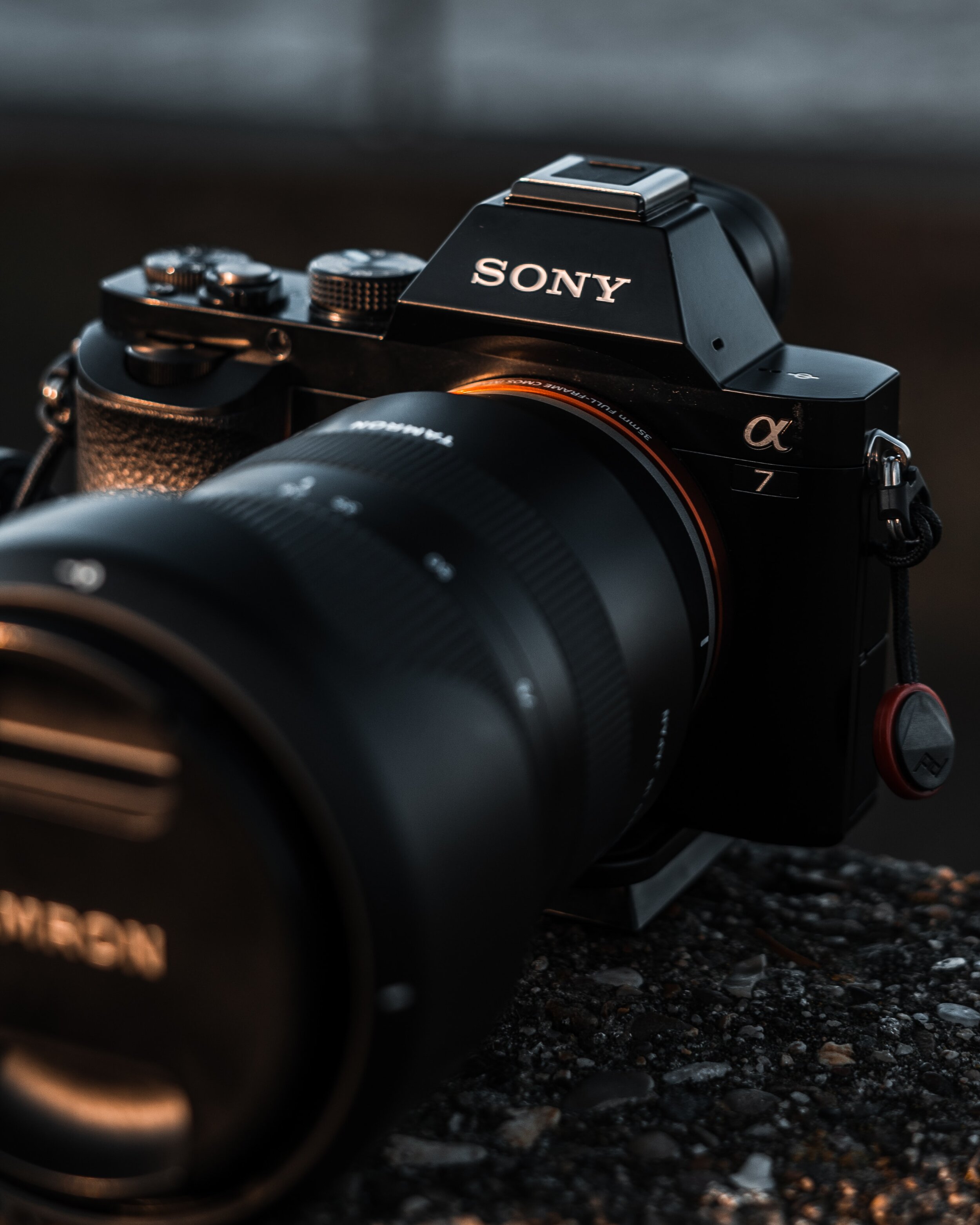 Advanced Photography Workshop
