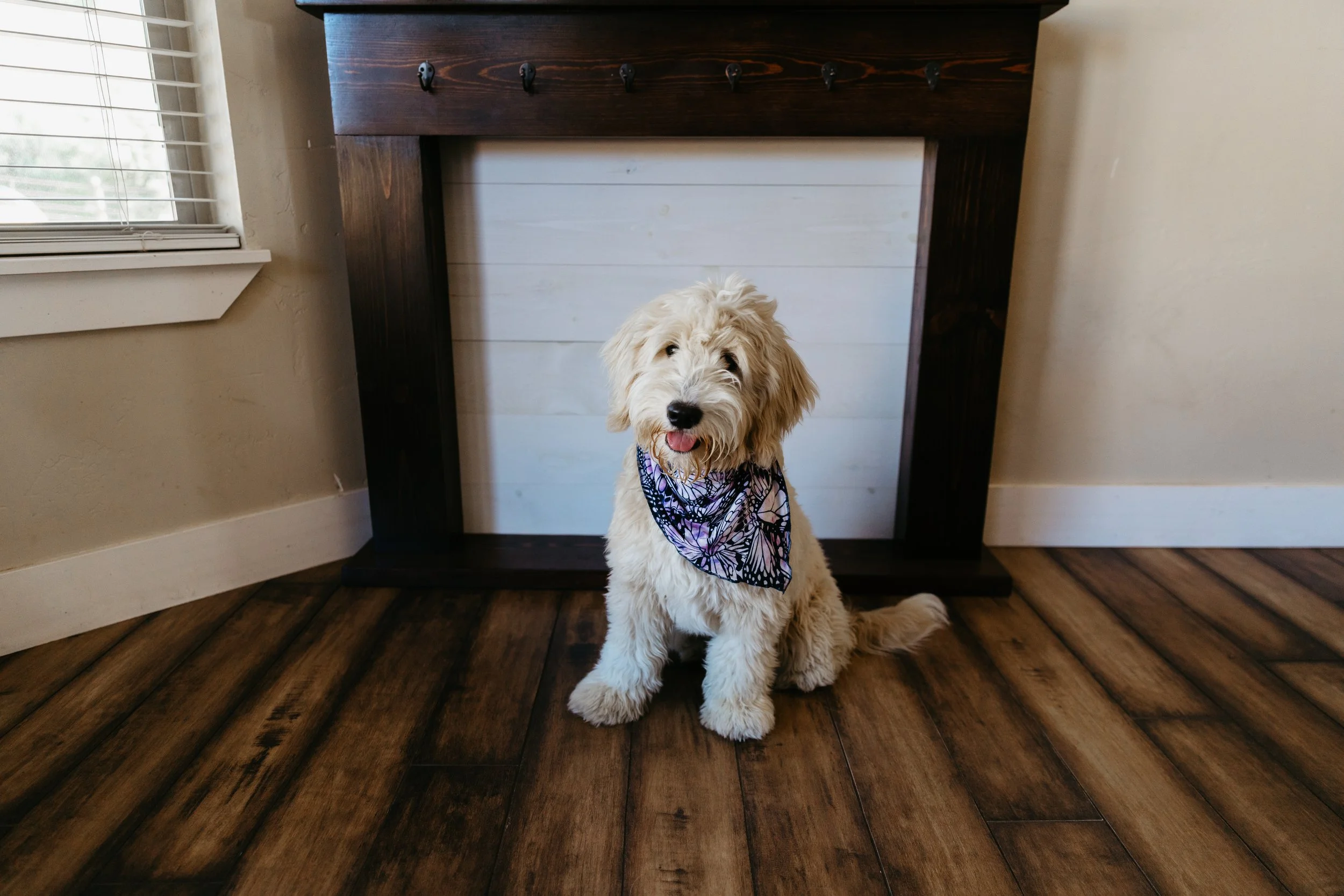 What Breed Is Right For You?