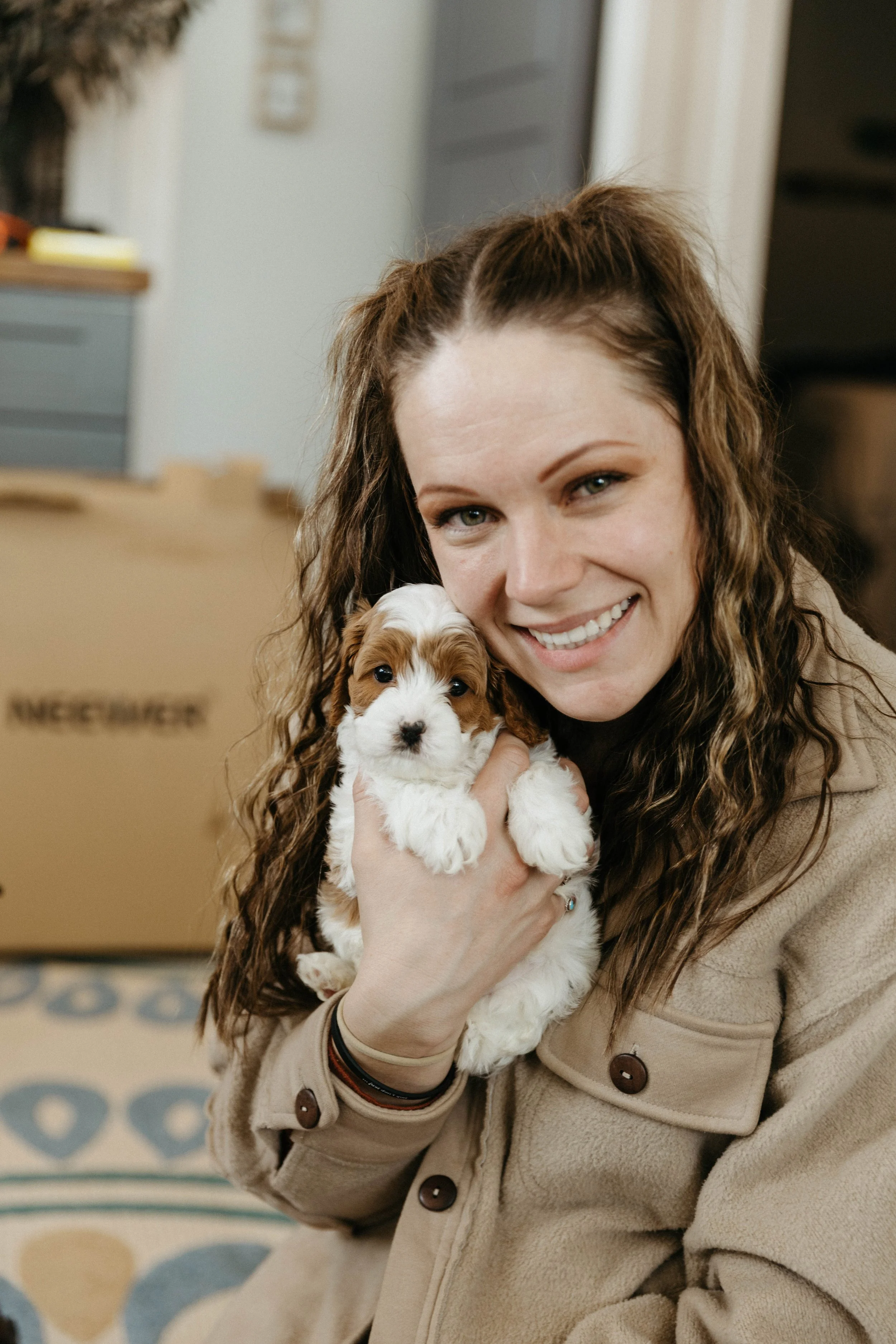f1cavapoo (6 of 24).jpg