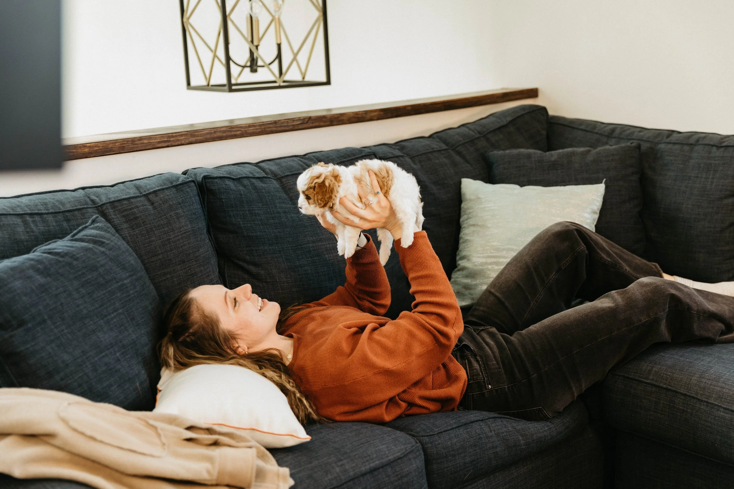 f1cavapoo (13 of 24).jpg
