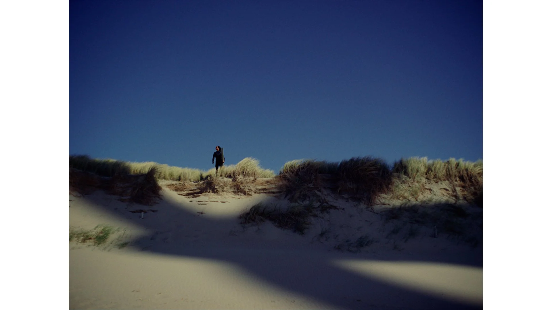 StichtingNoordzee_DC_online_04.00_00_01_24.Still002.jpg