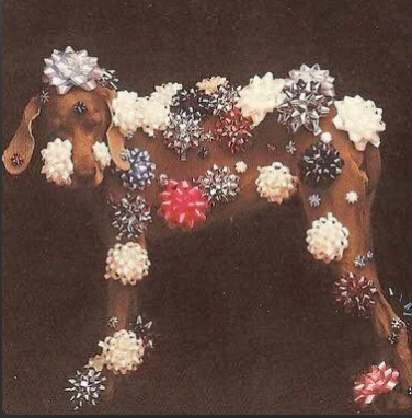 arrives by dec 24th!