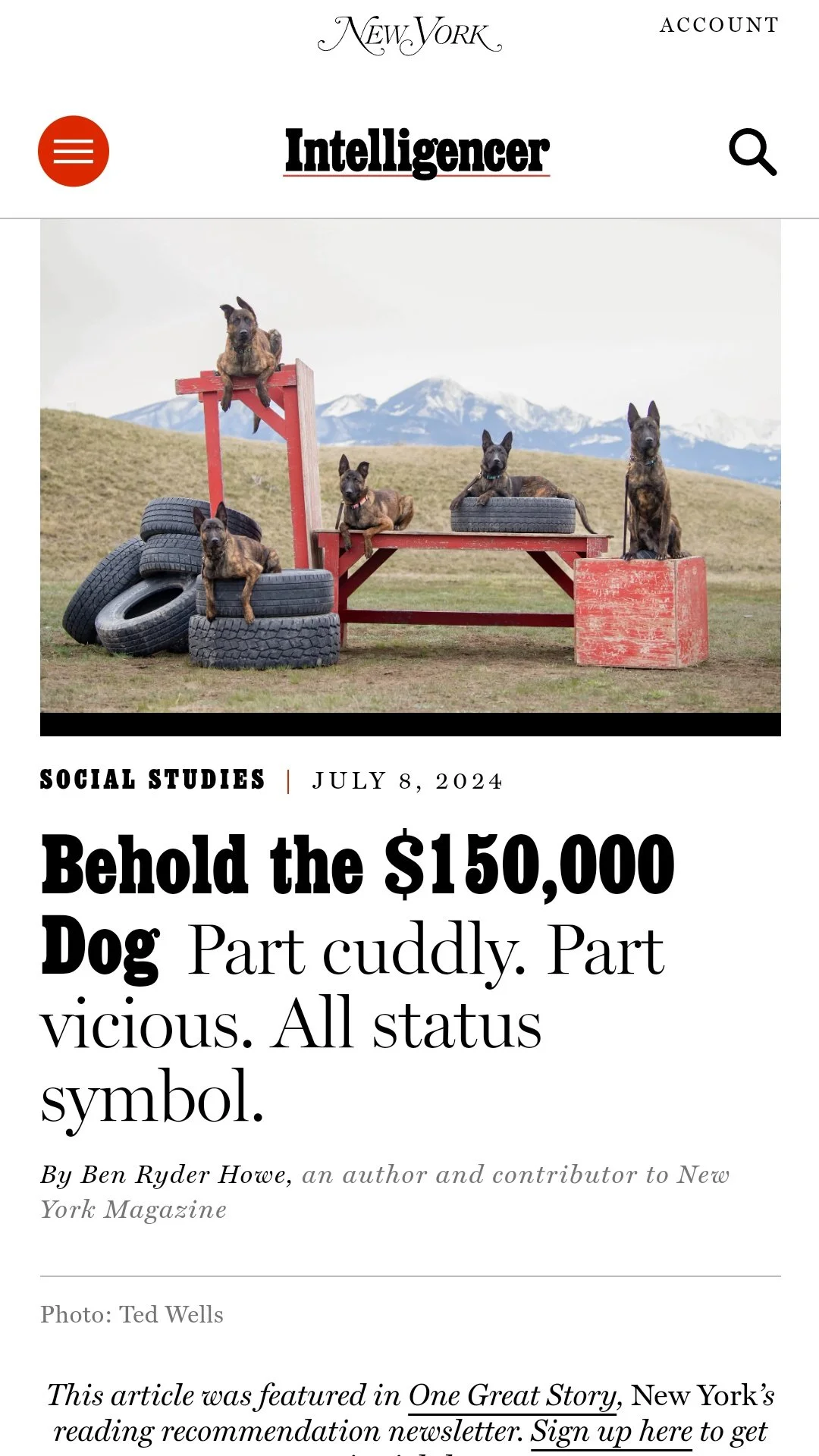"Behold the $150,000 Dog"