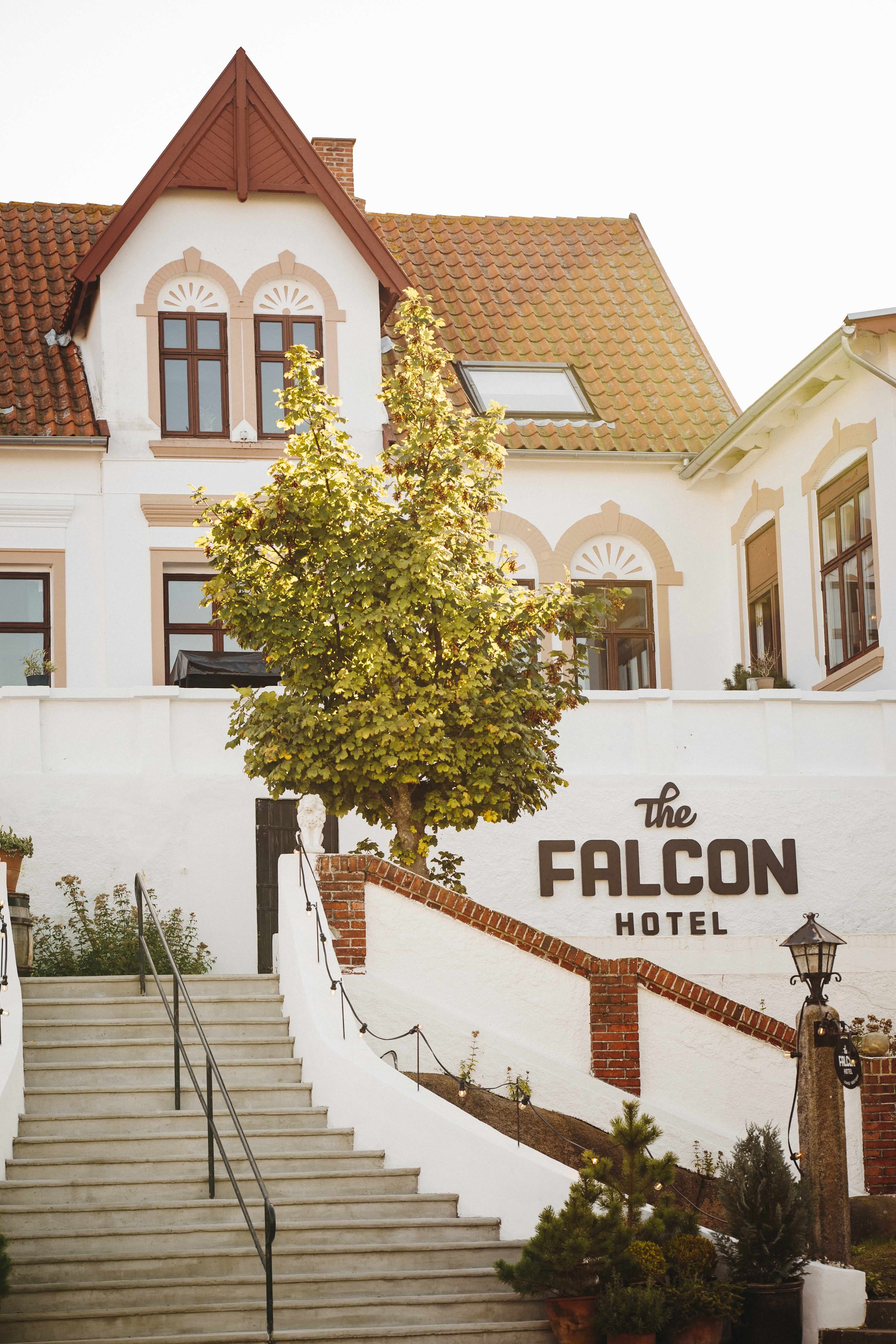 Eksteriør_Falcon-72.jpeg