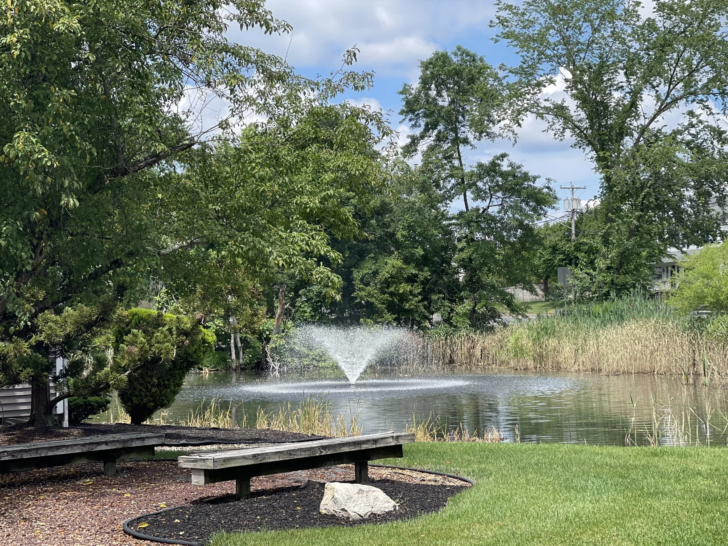 Surrounded by natural beauty, our office setting offers a calm and restorative environment that supports emotional wellness and healing.
