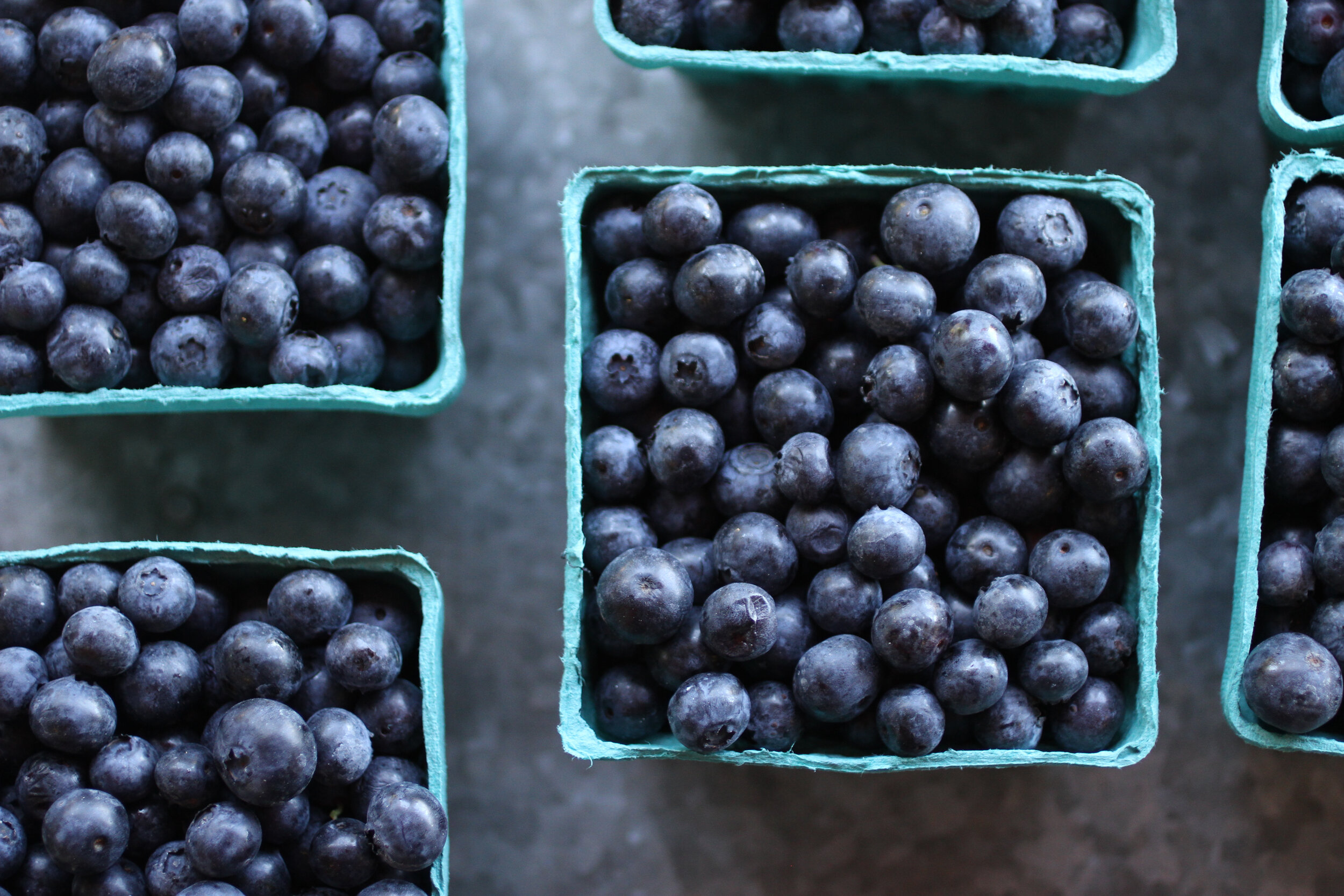 blueberries (2).jpg