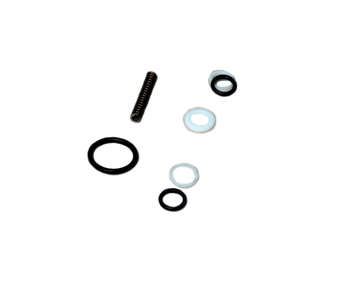 Valve Repair Kit: Soft Kit, O-Rings w/Spring