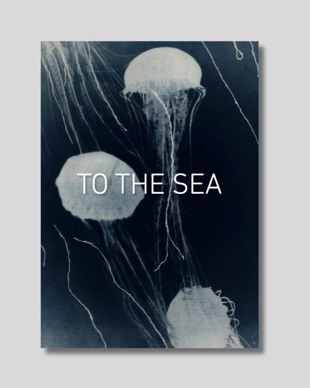 Earlier this summer it was an exciting moment to gte my hands on the beautiful @shutter_hub publication 'To The Sea' 🌊☀️🏖️

Feeling very lucky to have two of my images selected 💙 Portugal // September 2024. 

Available to order via Shutterhub webs