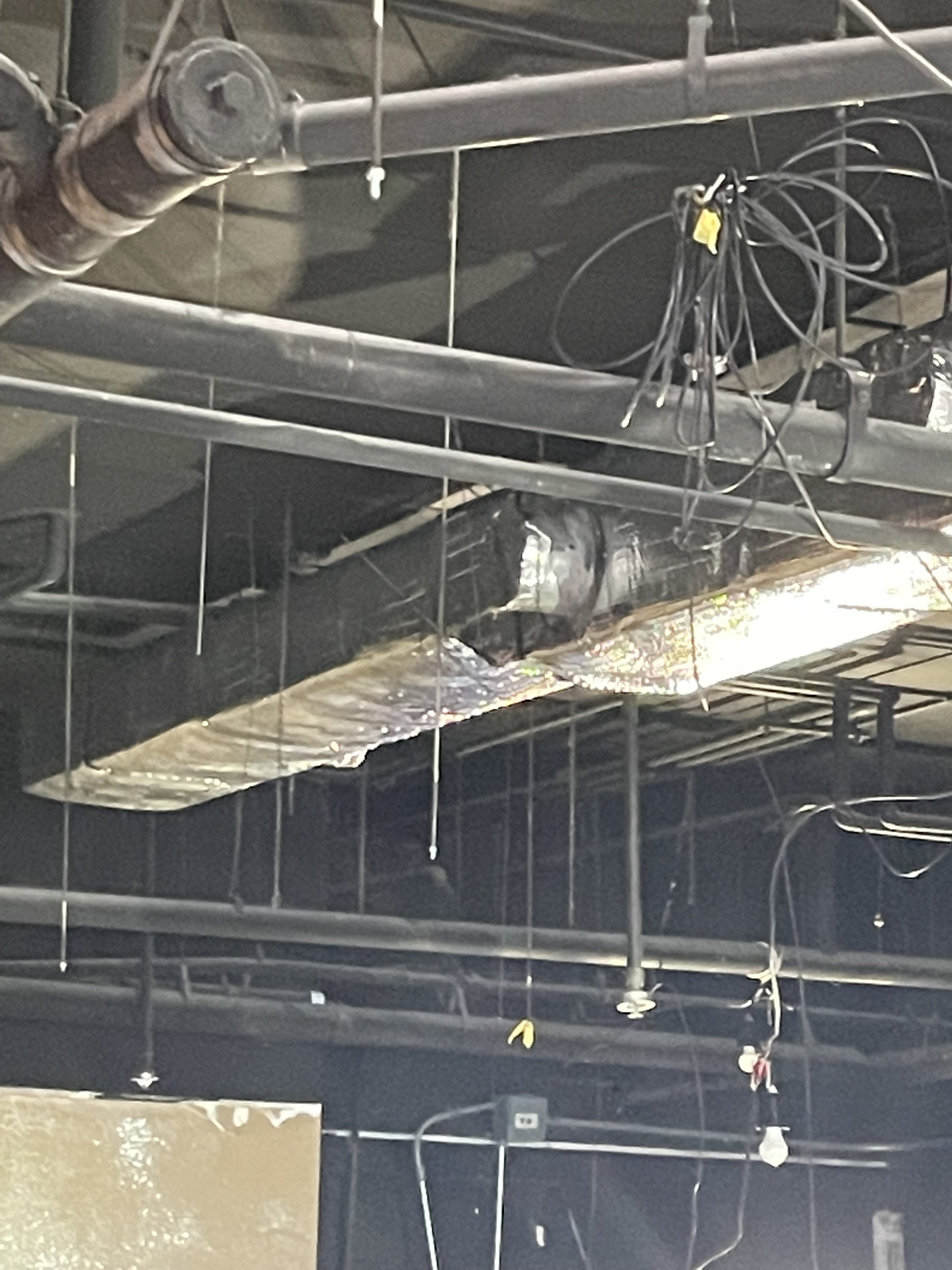 Demolition of existing Drop Ceiling