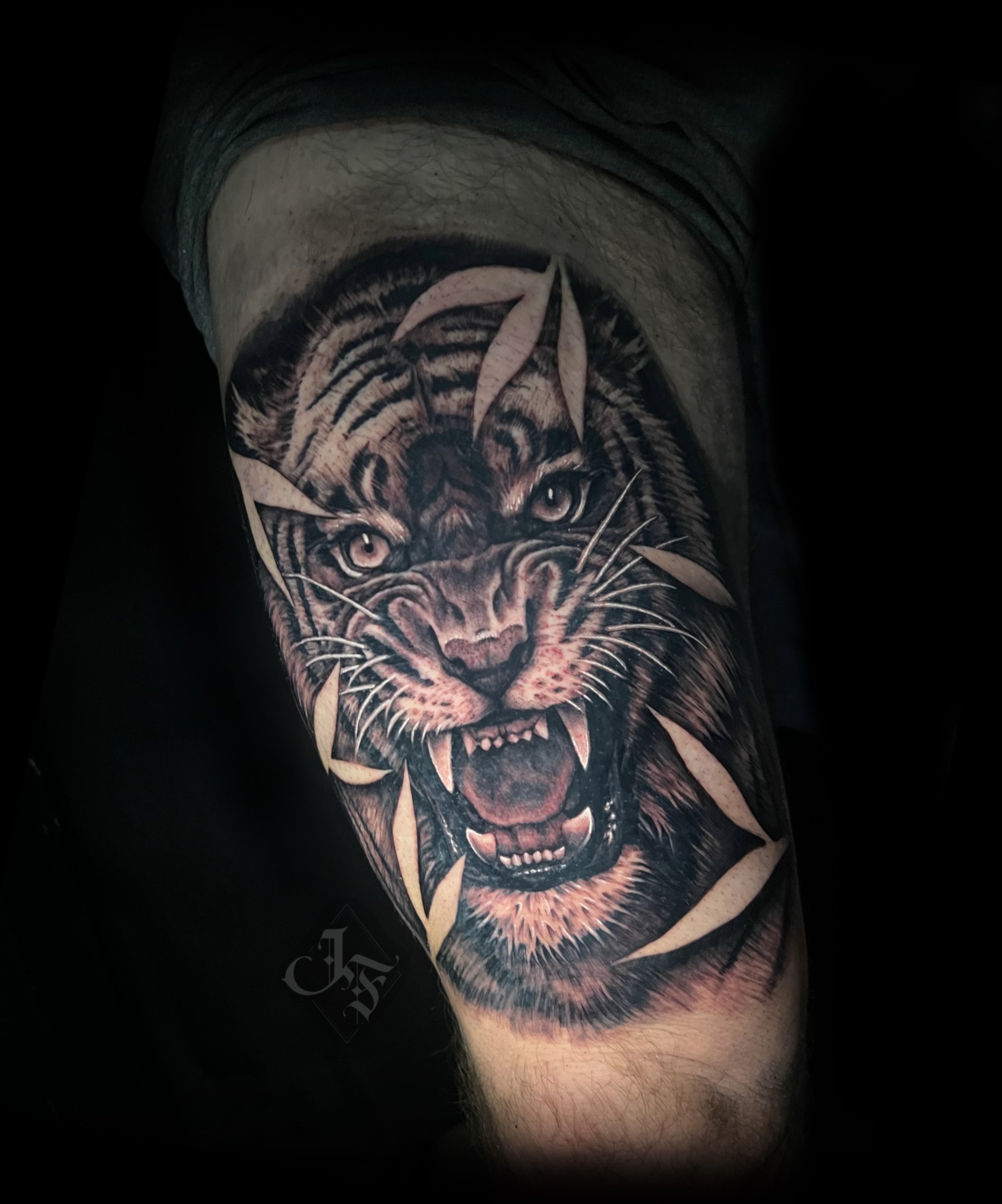 realistic+angry+tiger+black+and+gray+realism+tattoo.jpg
