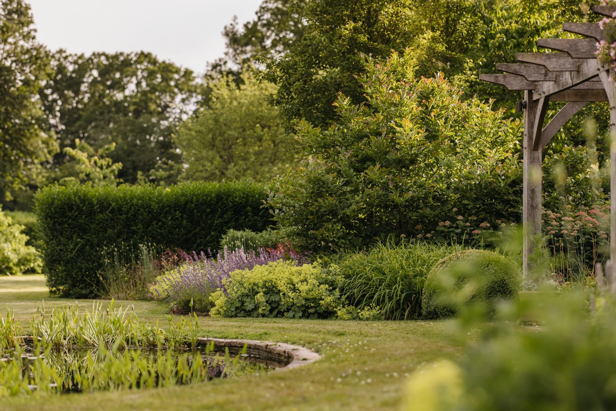 An oak pergola overlooks the wildlife pond planted with native water plants. 
Photo Eva Nemeth
