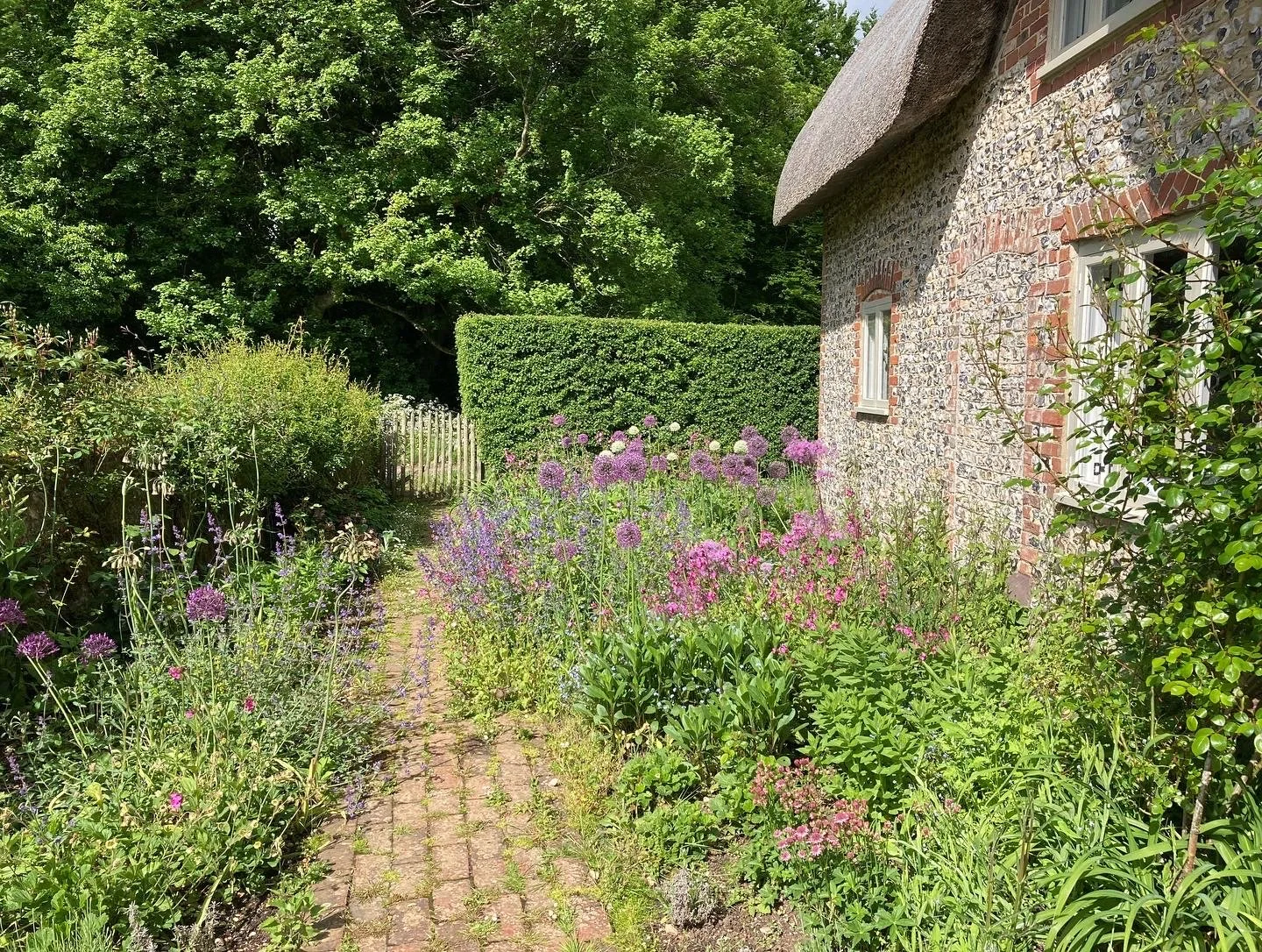 Front Garden planting is lush and colourful