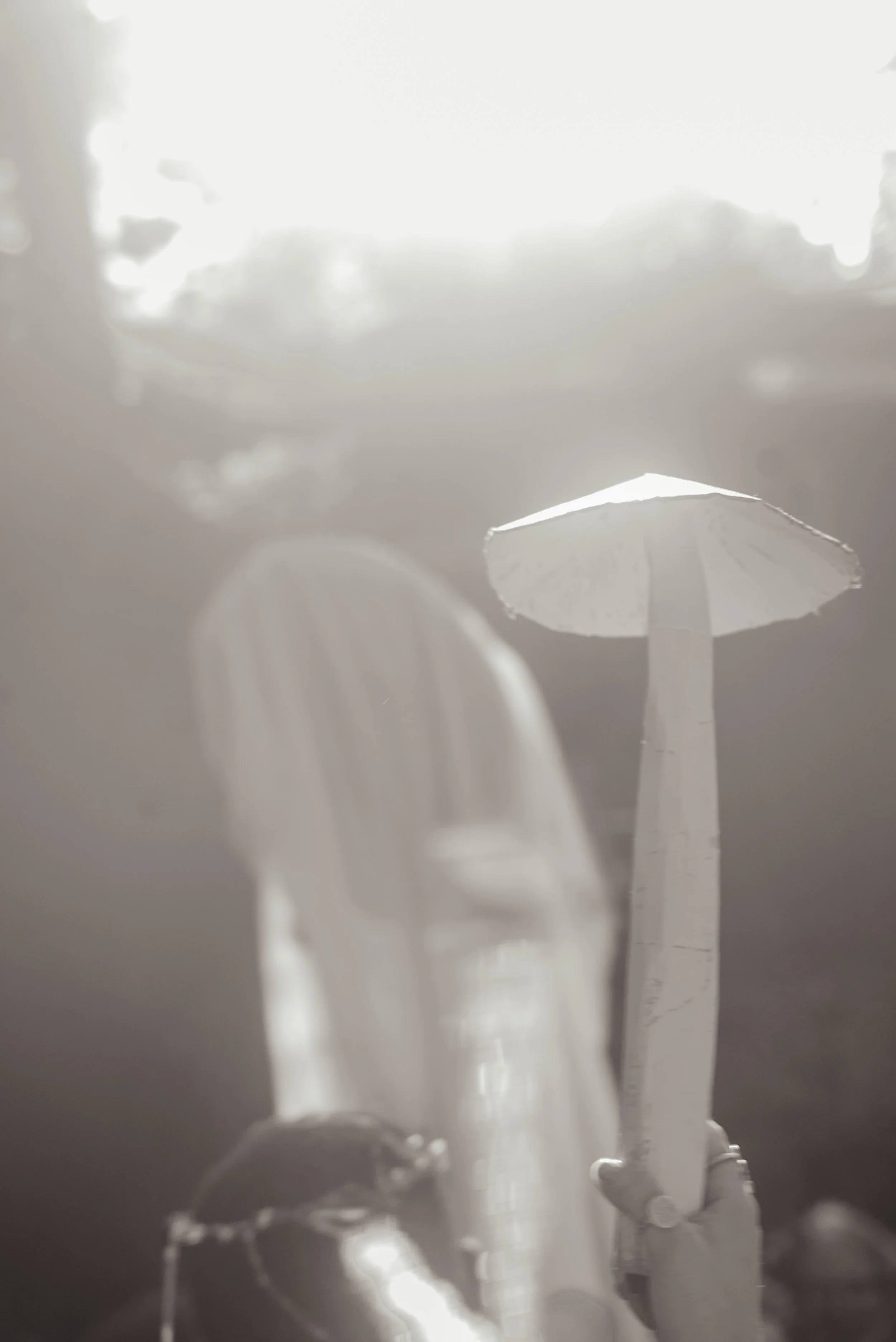 DSC07419.jpeg