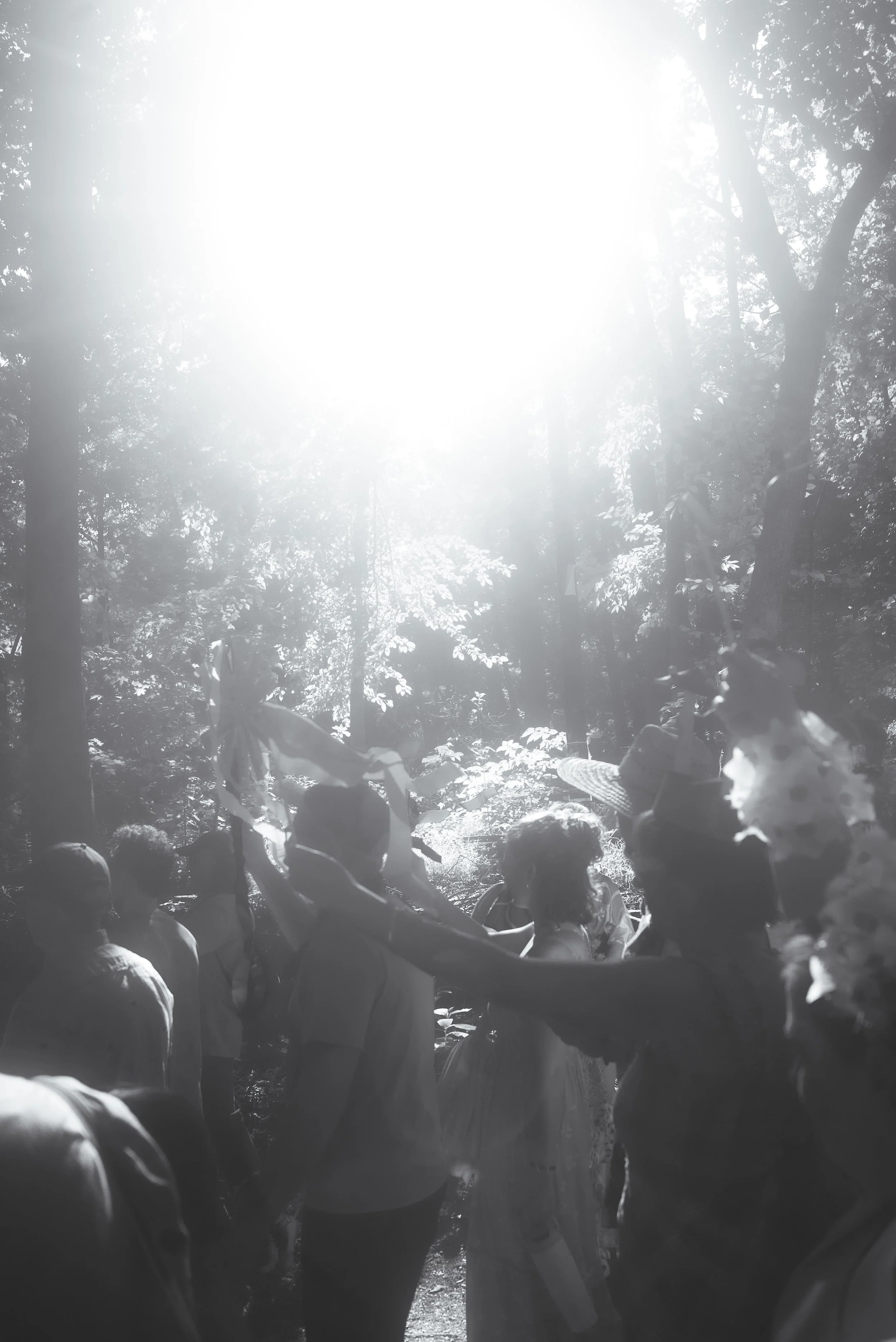 DSC07286.jpeg