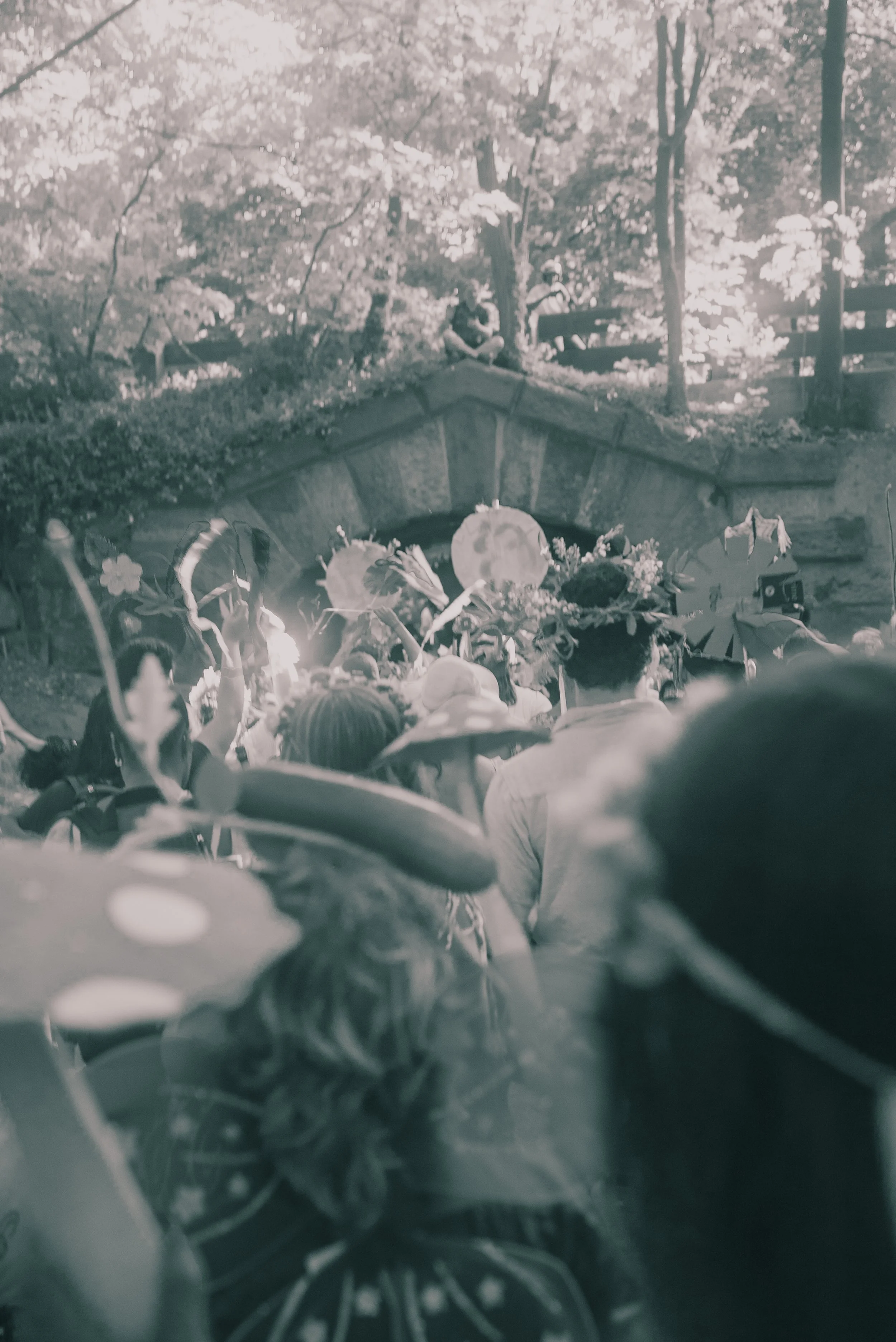 DSC07377.jpeg