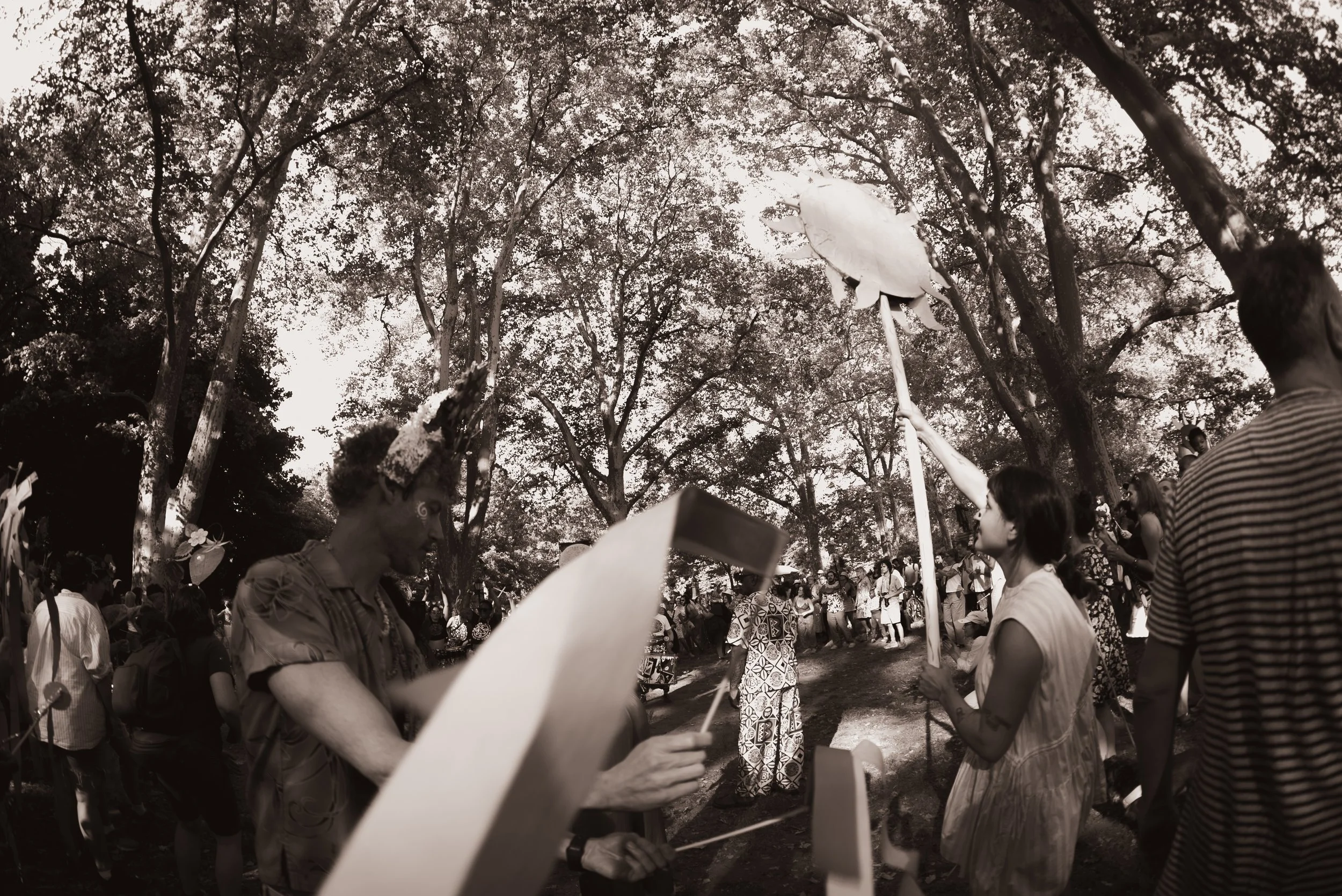 DSC08317.jpeg