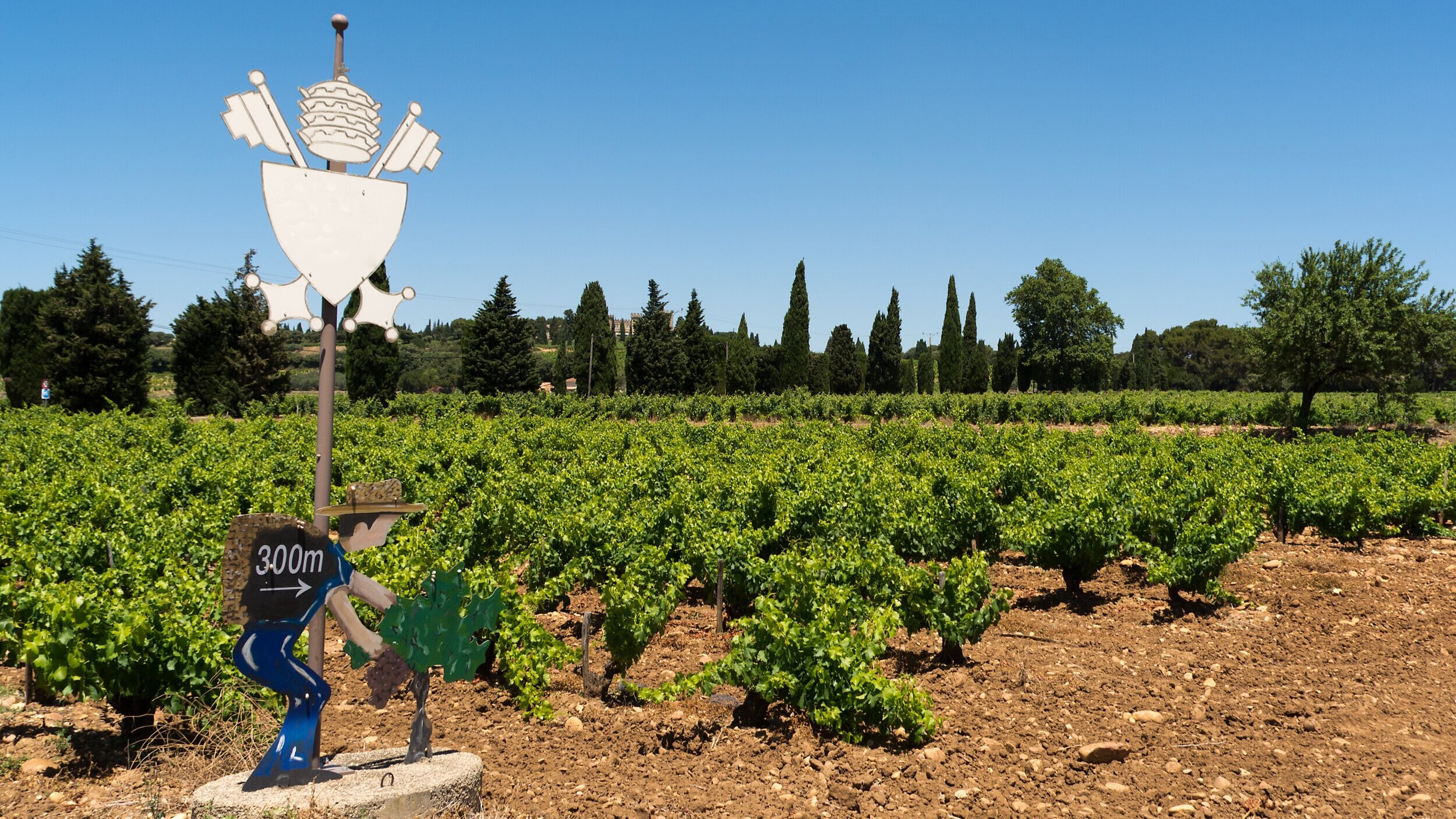 The Distinctive Wines of the Rhône Valley