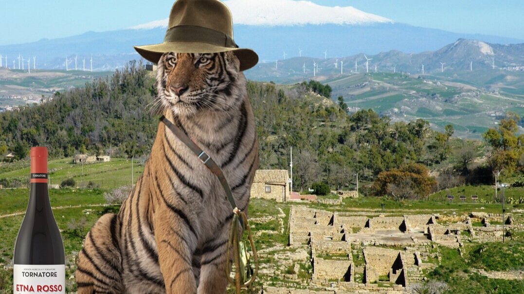 Wine tour of Italy