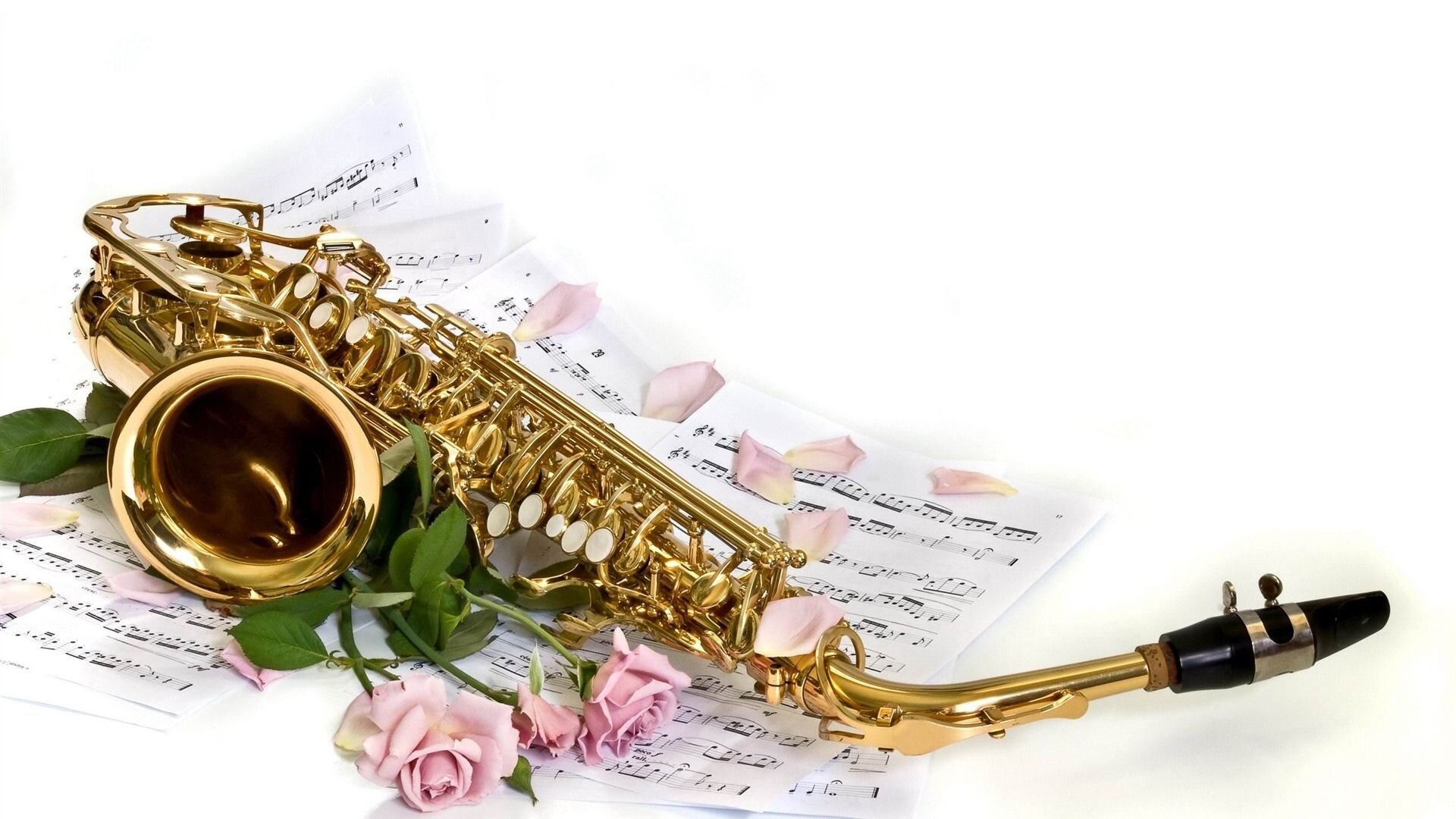 What are the differences between Rico alto sax reeds and Vandoren alto sax reeds?