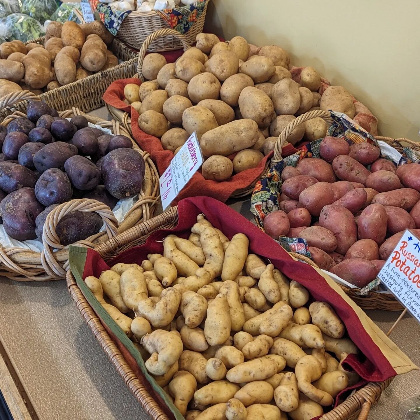 Fall is in full-swing at our farmstand. The variety of produce we have available is stunning: four different varieties of potatoes, five different picked apples (4 for u-pick), 7+ winter squash varieties, pears, carrots, brussels sprouts, broccolini,