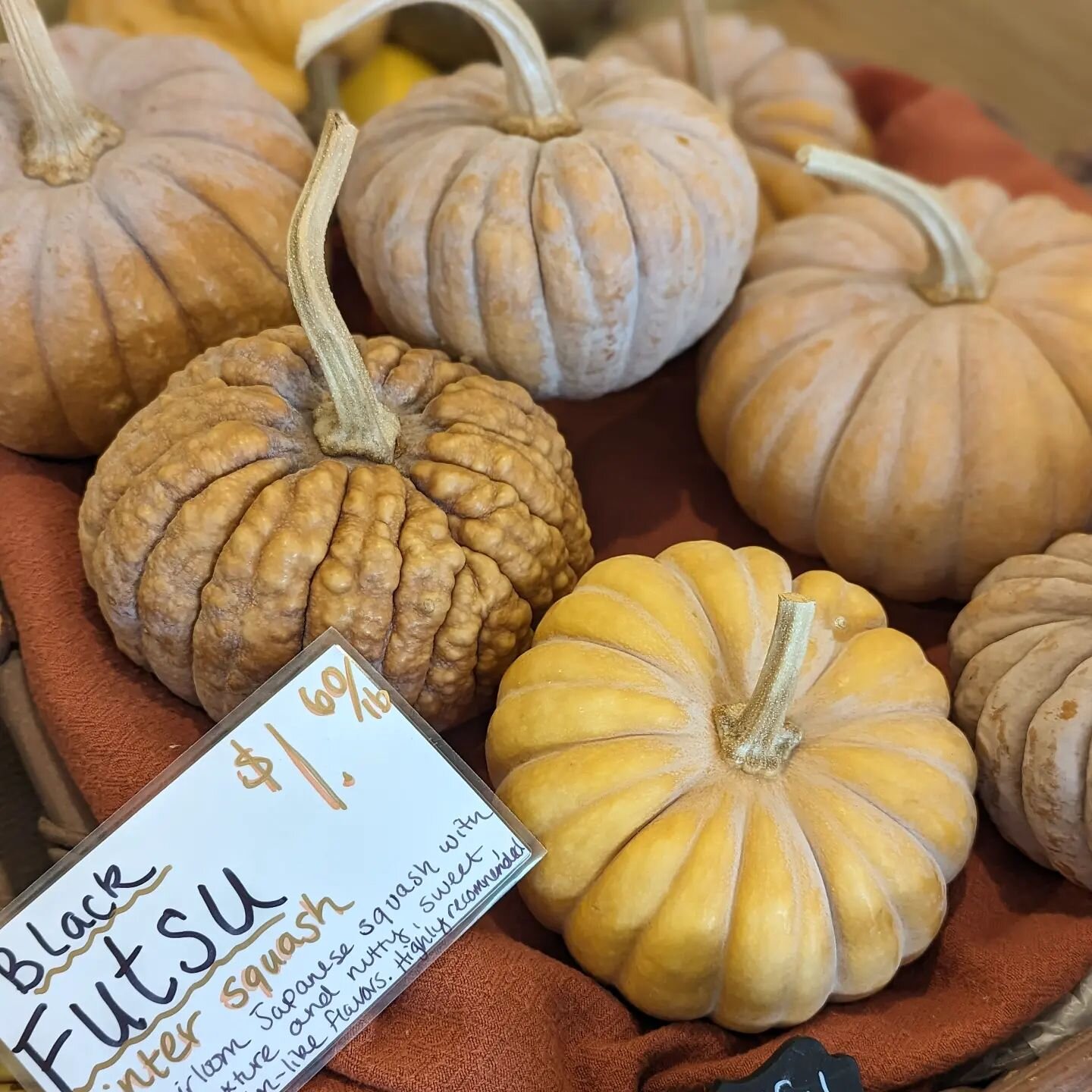 The Black Futsu squash is not only beautiful, it's absolutely delicious! An absolute favorite around here. Robust, nutty, sweet, and melon-like flavors are satisfying in any preparation or recipe. Highly recommended!