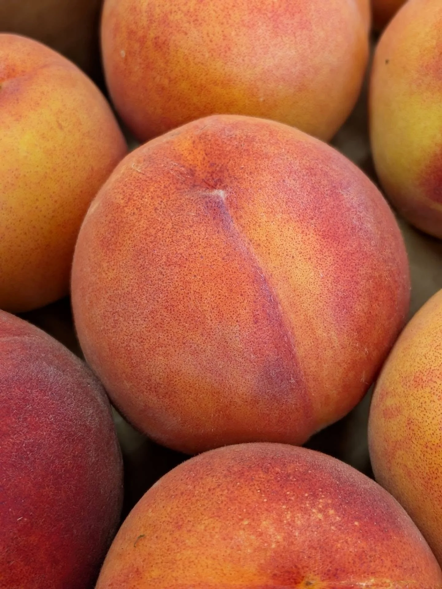 Can't get over that blush. 😍🍑 Harken peaches have arrived and they are the belle of the ball. #treeripened #freshpeaches