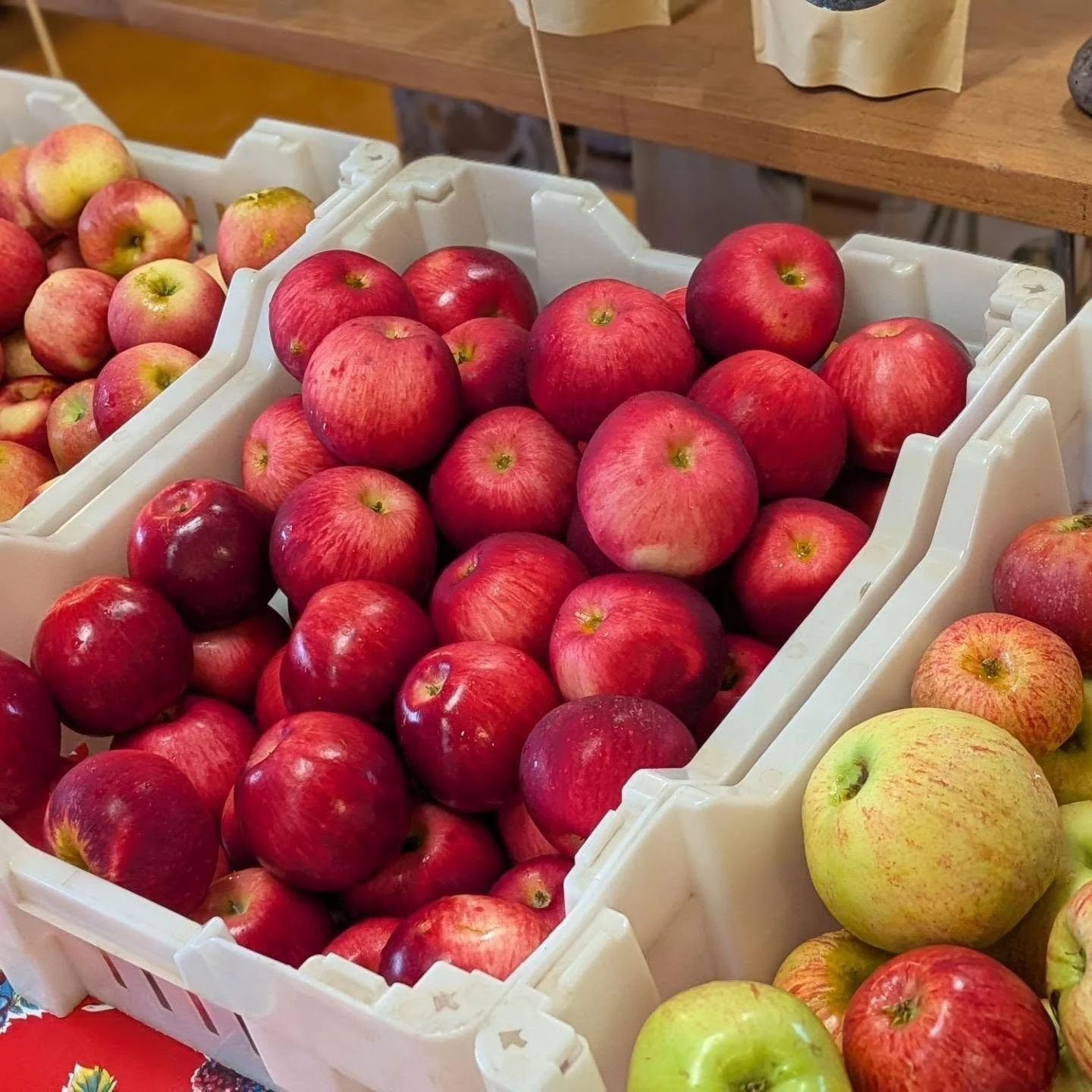 Fall has arrived, not just in the air, but at the fruit stand as well. 🍎🍐 While it's sad that peaches are done, we now have quite a variety of fruit and veggies that represent the best of both seasons. Wonderful u-pick opportunities for a while sti