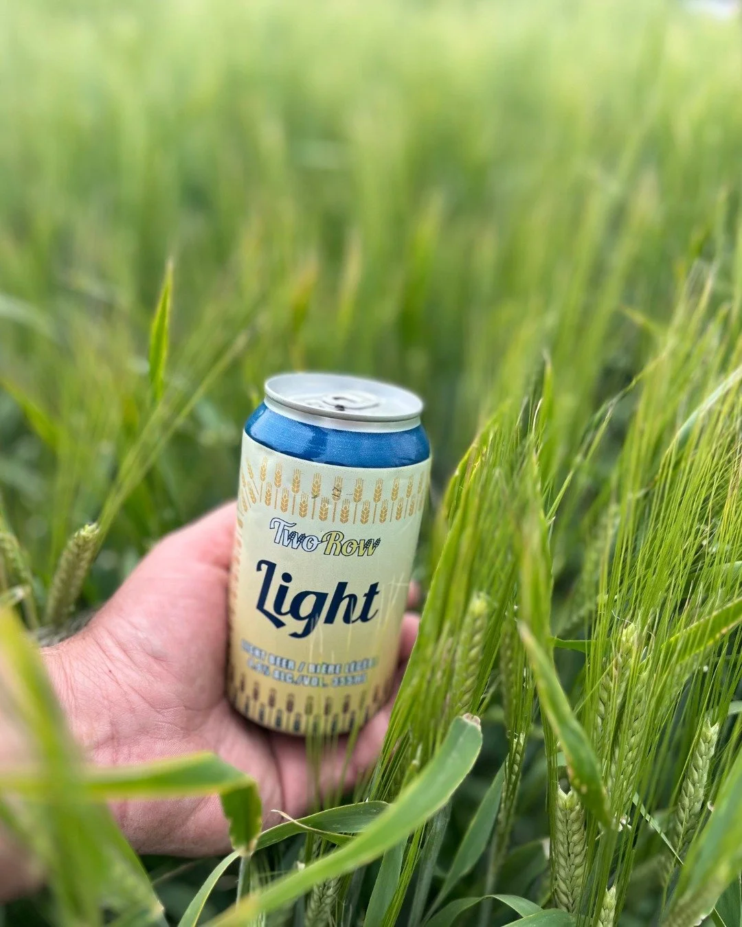Two Row Light Lager gets its name straight from its ingredients — it's brewed with local two row barley.
With a new recipe and a fresh look, Two Row Light Lager is here to deliver and just malty enough to keep you coming back for more.