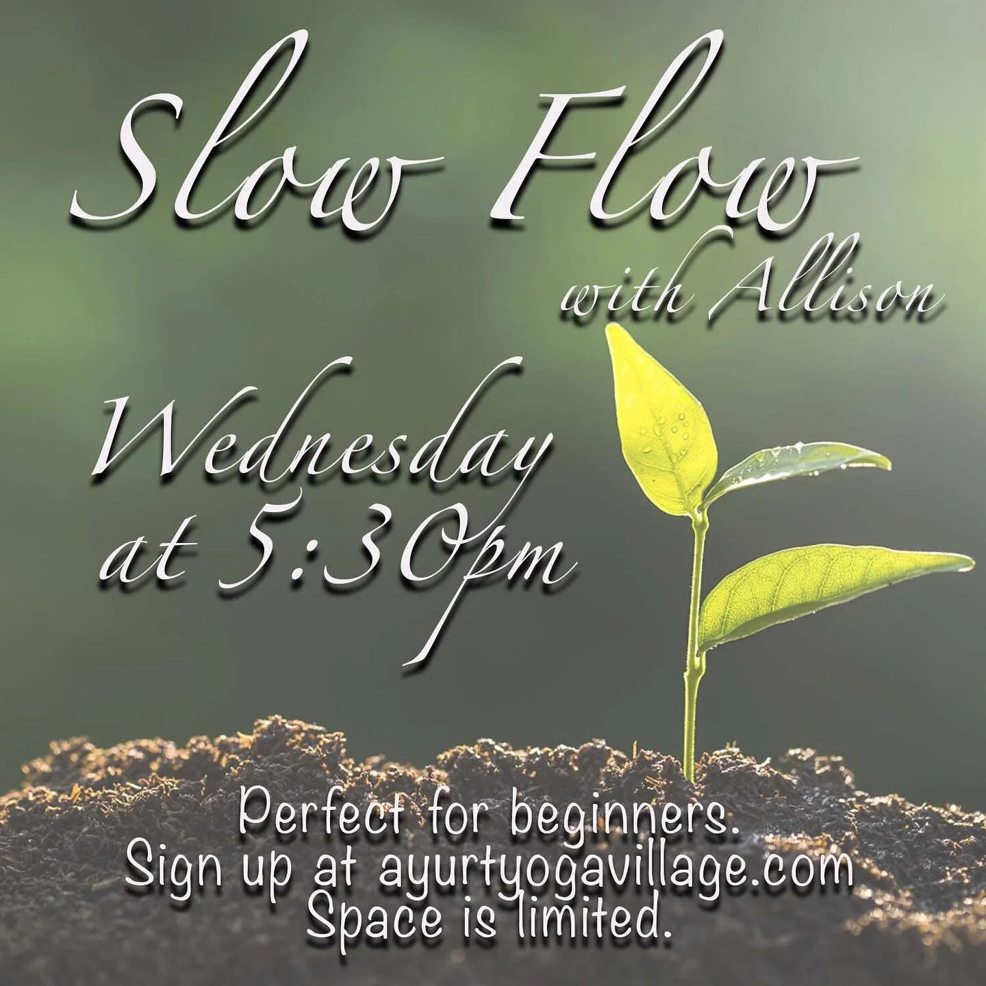 Tonight in Tampa! All humans welcome @ayurtyogavillage
Take a mid week pause and join me as we move stagnant energy out and create new vibrant space with in.
Sign up at ayurtyogavillage.com
Use code SATNAM for 15% off your First class at #yurtyo