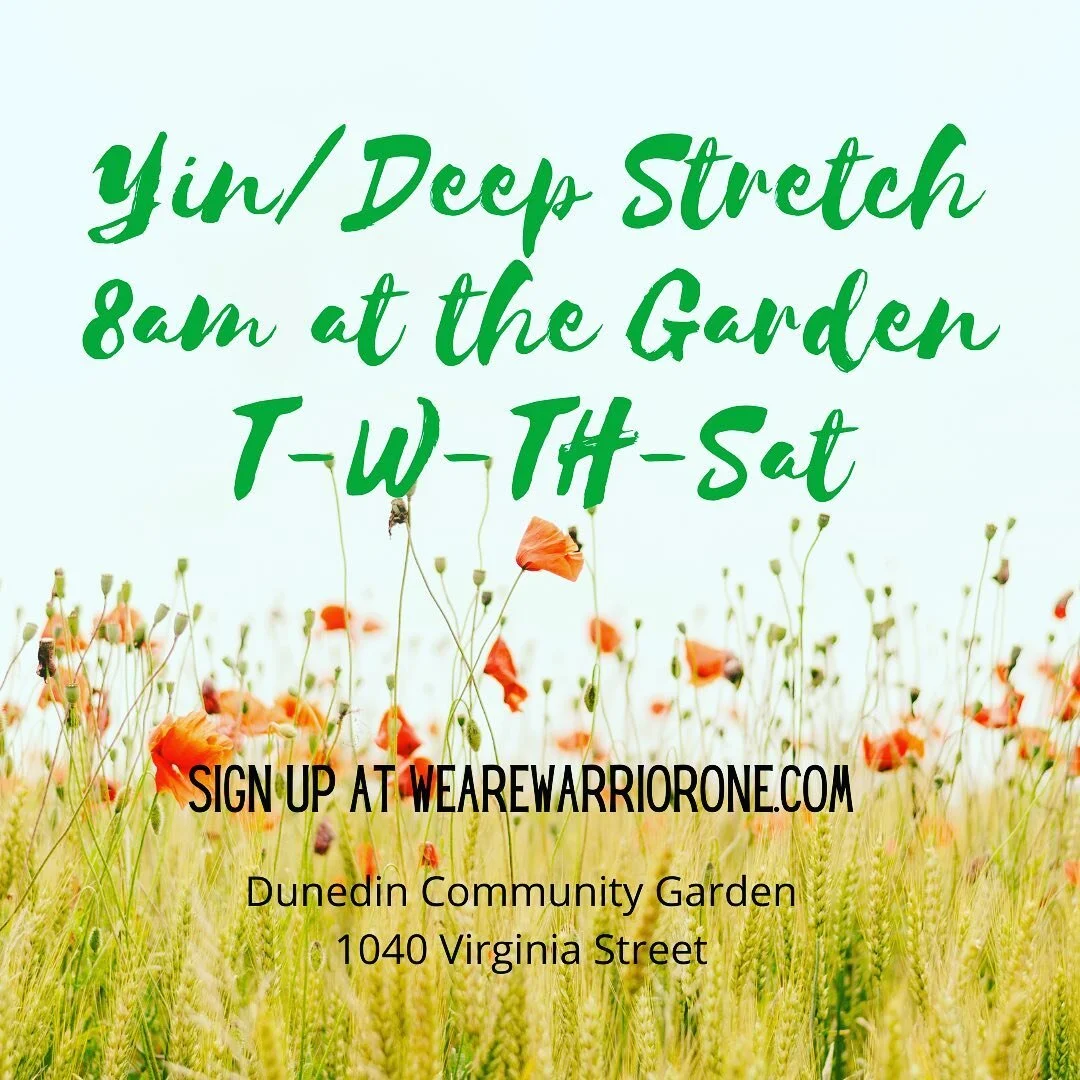 Yin/ Deep Stretch with me, 4 mornings a week at 8am☀️☀️☀️
Sign up at wearewarriorone.com