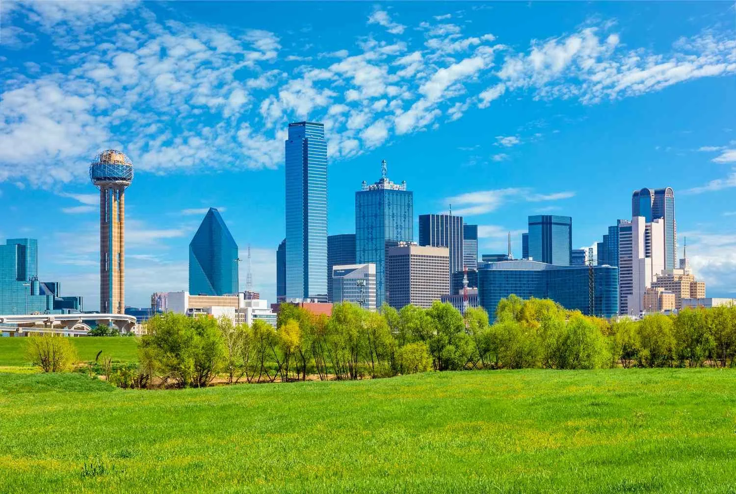 dallas-skyline-cityscape-with-spring-foliage-tx-531849646-9e93dc80af5a49f68a491b39c71050c8.jpg