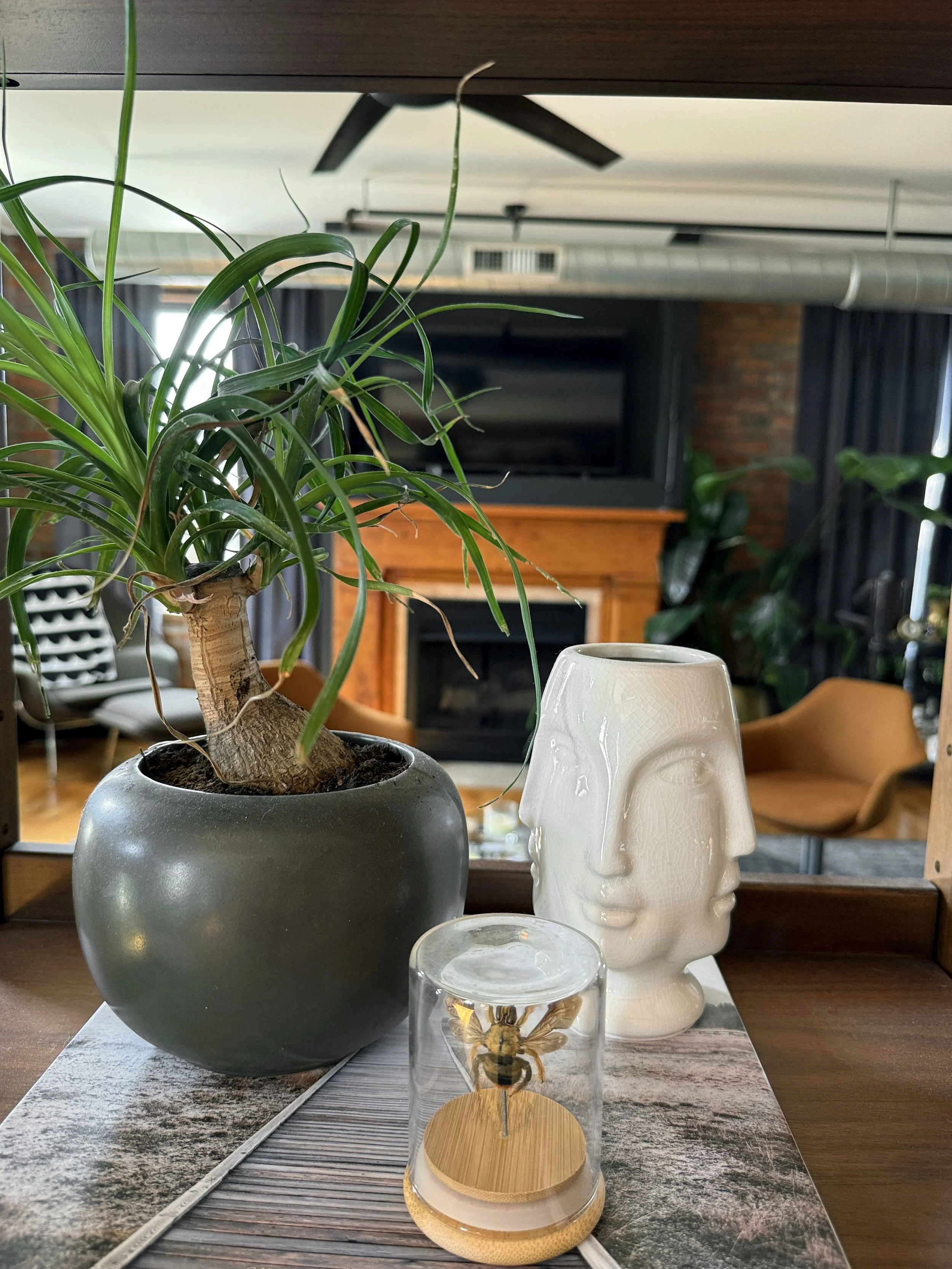 OTR Modern Condo , No Era Desgin 6.jpg