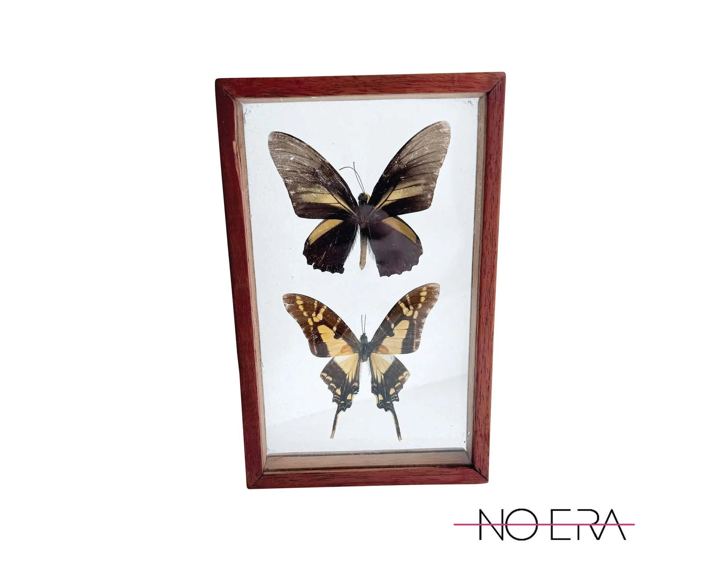 Butterfly Art.jpg