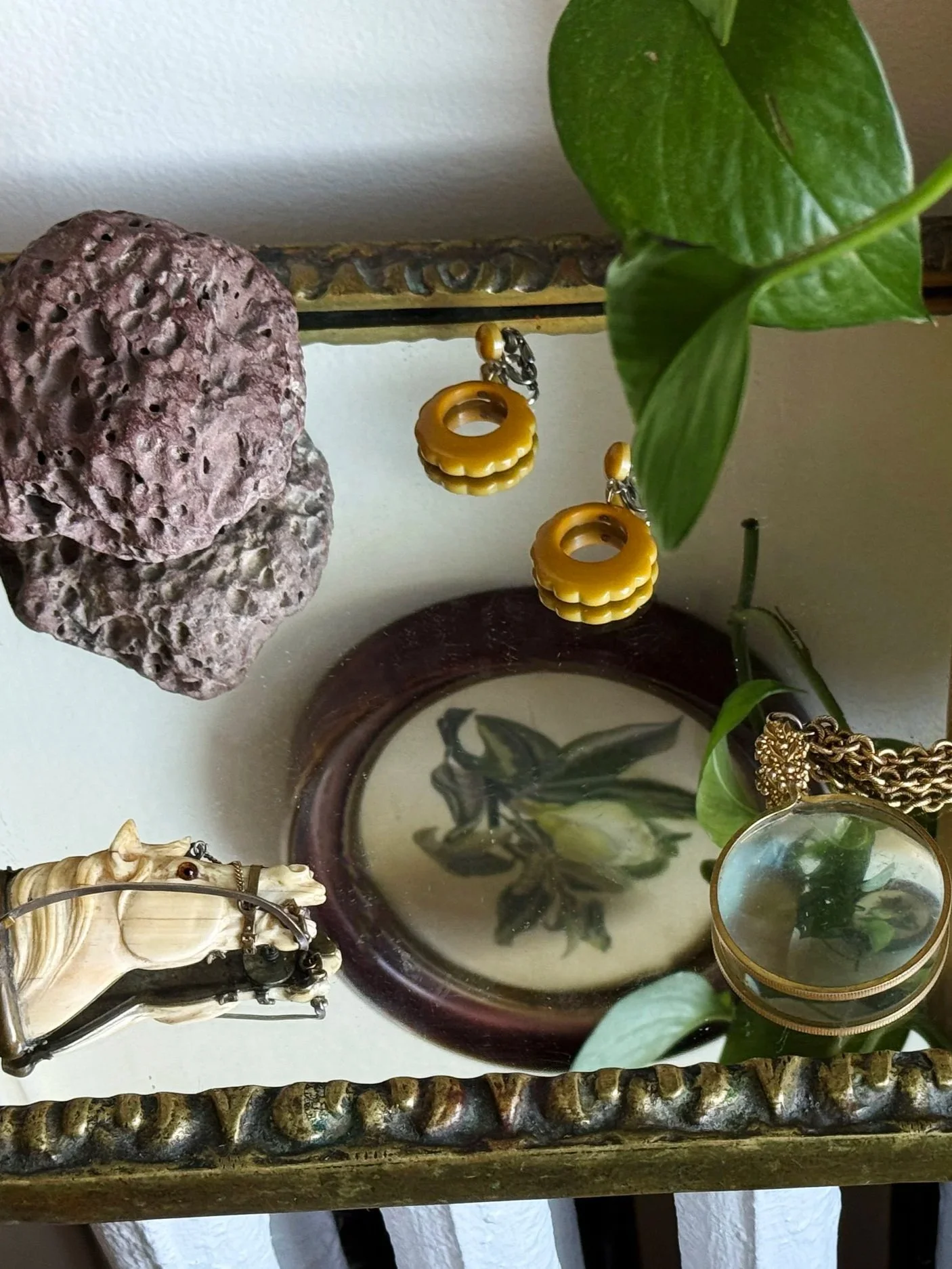 Decorative display with green leafy plant, yellow earrings hanging from a brass frame, a large purple rock, a small mirror with a flower drawing, and a small skull figurine on a table.