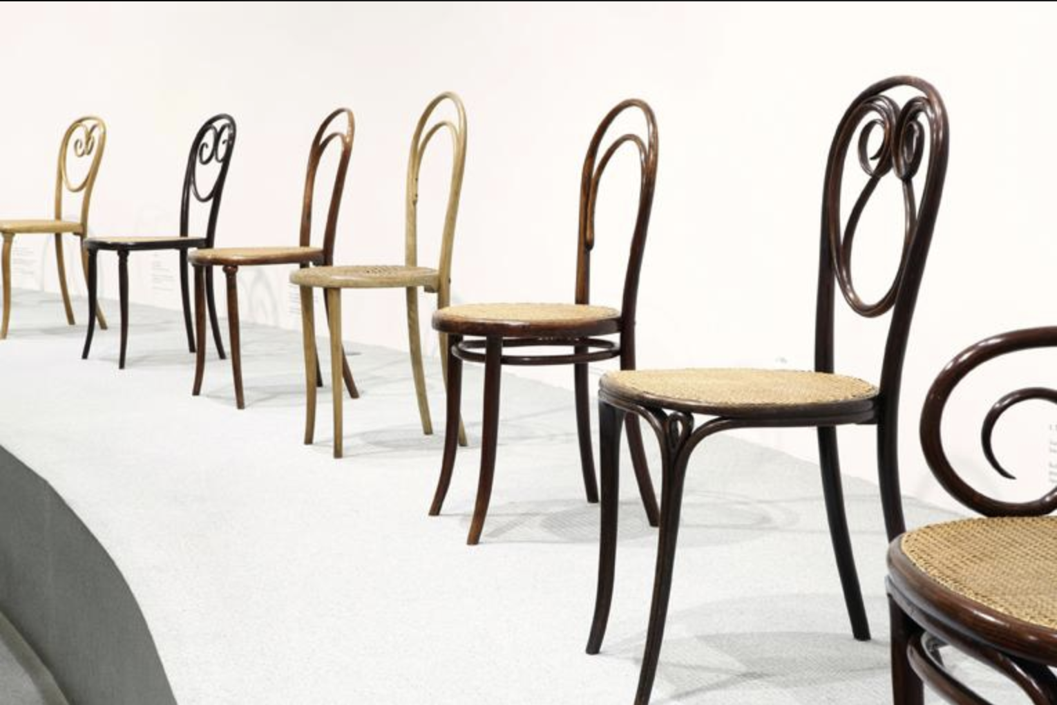 A uniform collection of Thonet bentwood chairs arranged on a curved platform, showcasing nineteenth-century furniture design and steam-bent wood construction.
