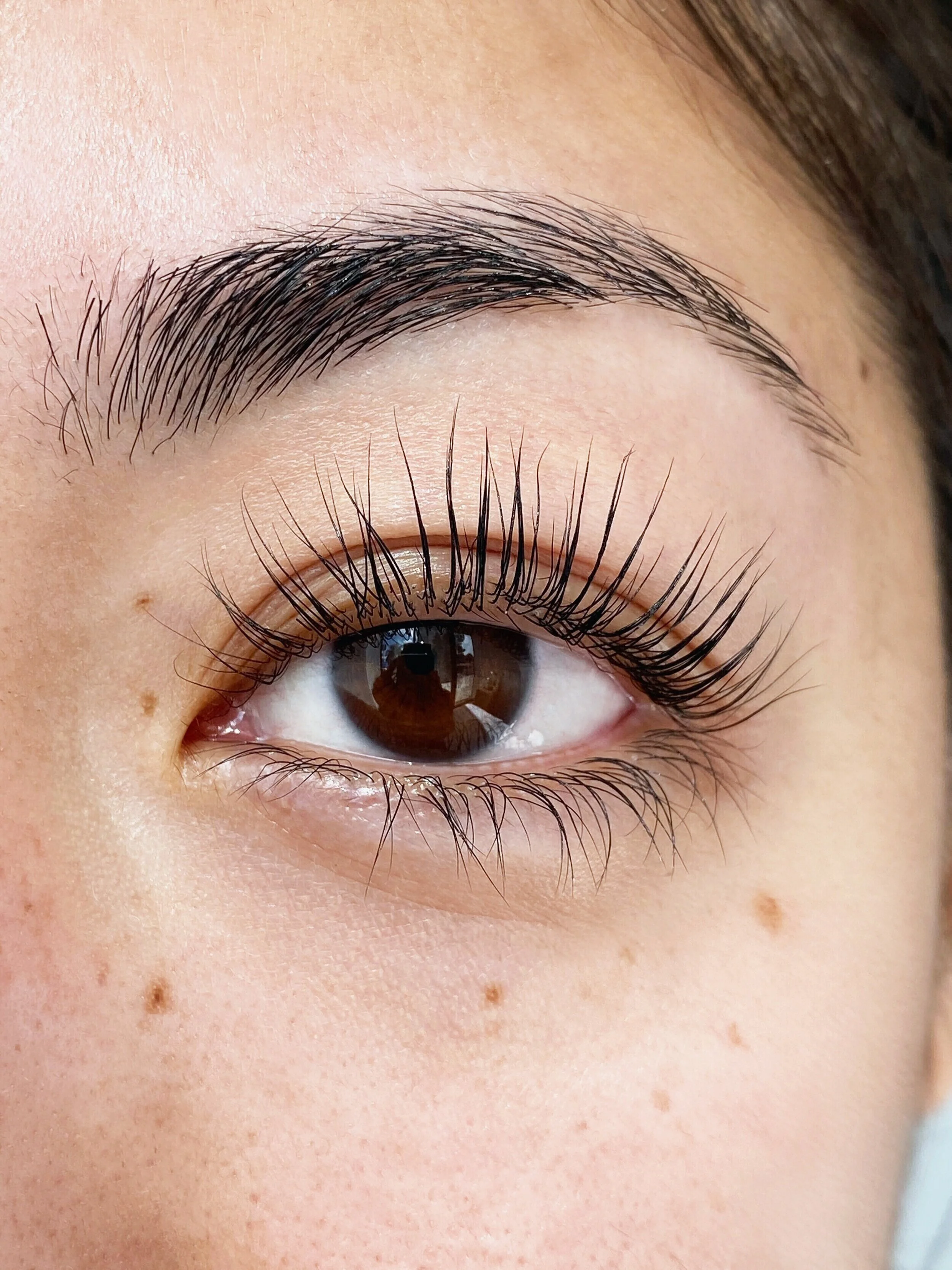 Close-up of a woman's eye showing well-groomed eyebrow, long eyelashes, and some freckles on the skin.