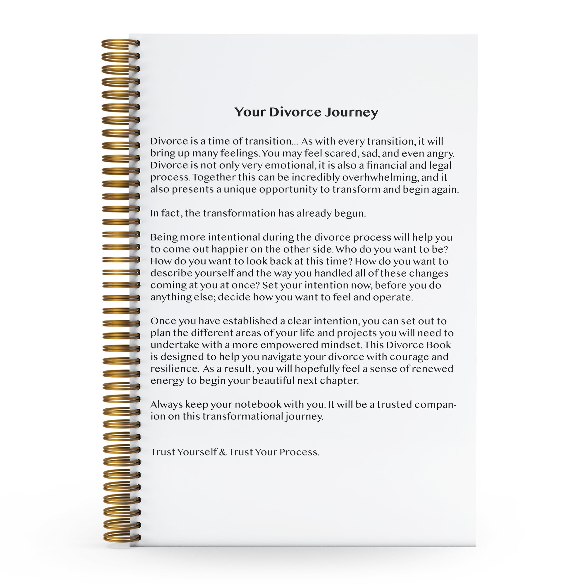 Embrace your happiness and inner peace and live a life you love with Happy Warrior... the book, pdfs, meeting book, session book, divorce book, and Happy Warrior Coaching.