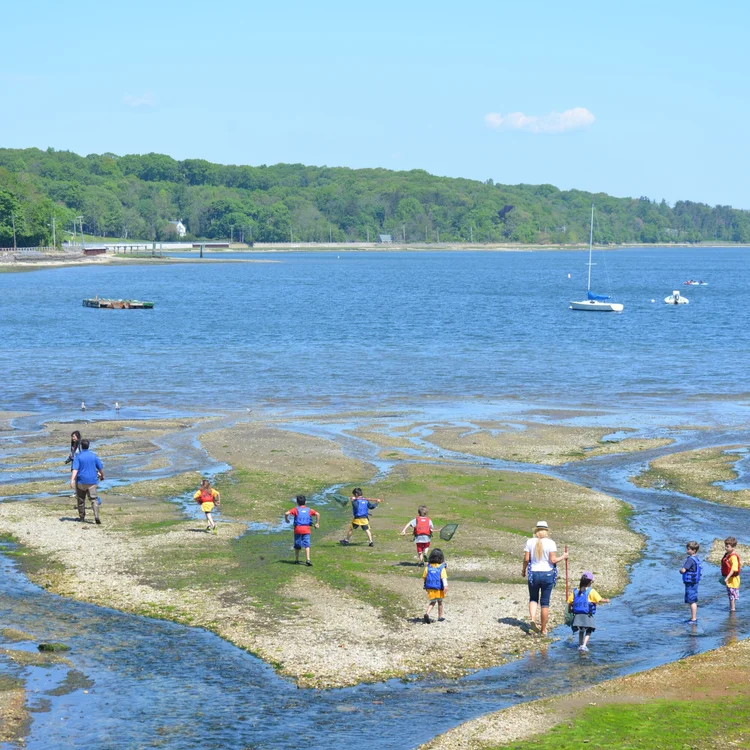 Students participating in hands-on marine education at The WaterFront Center
