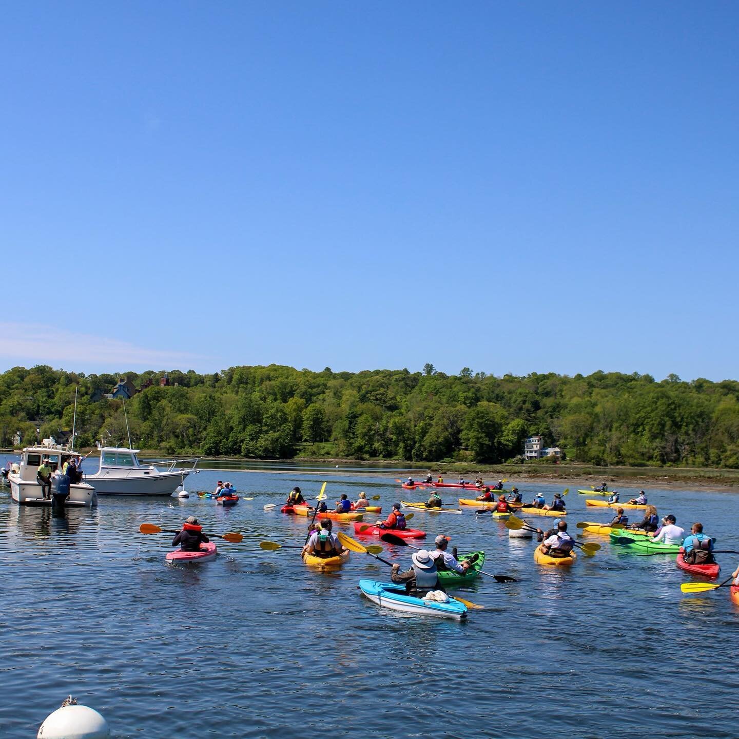 *BIG ANNOUNCEMENT*
July 17th is our second Kayak Conservation Cruise of the year with @friendsofthebay1987! This time we are launching from The WaterFront Center dock and paddling towards Theodore Roosevelt park! You can choose to rent a kayak for us