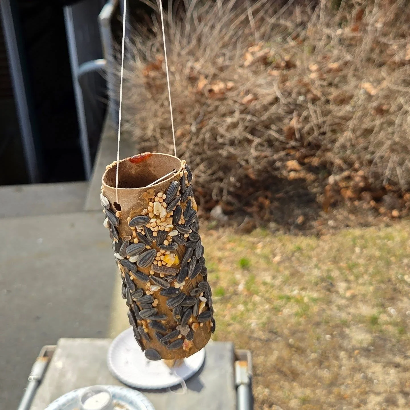 Spring is in the little things 🌿🐦

This week our educational staff made simple bird feeders and hung them out in the trees &mdash; just peanut butter, birdseed, and a cardboard tube.

Easy to make.
Fun to do.
And the best part&hellip; waiting to se